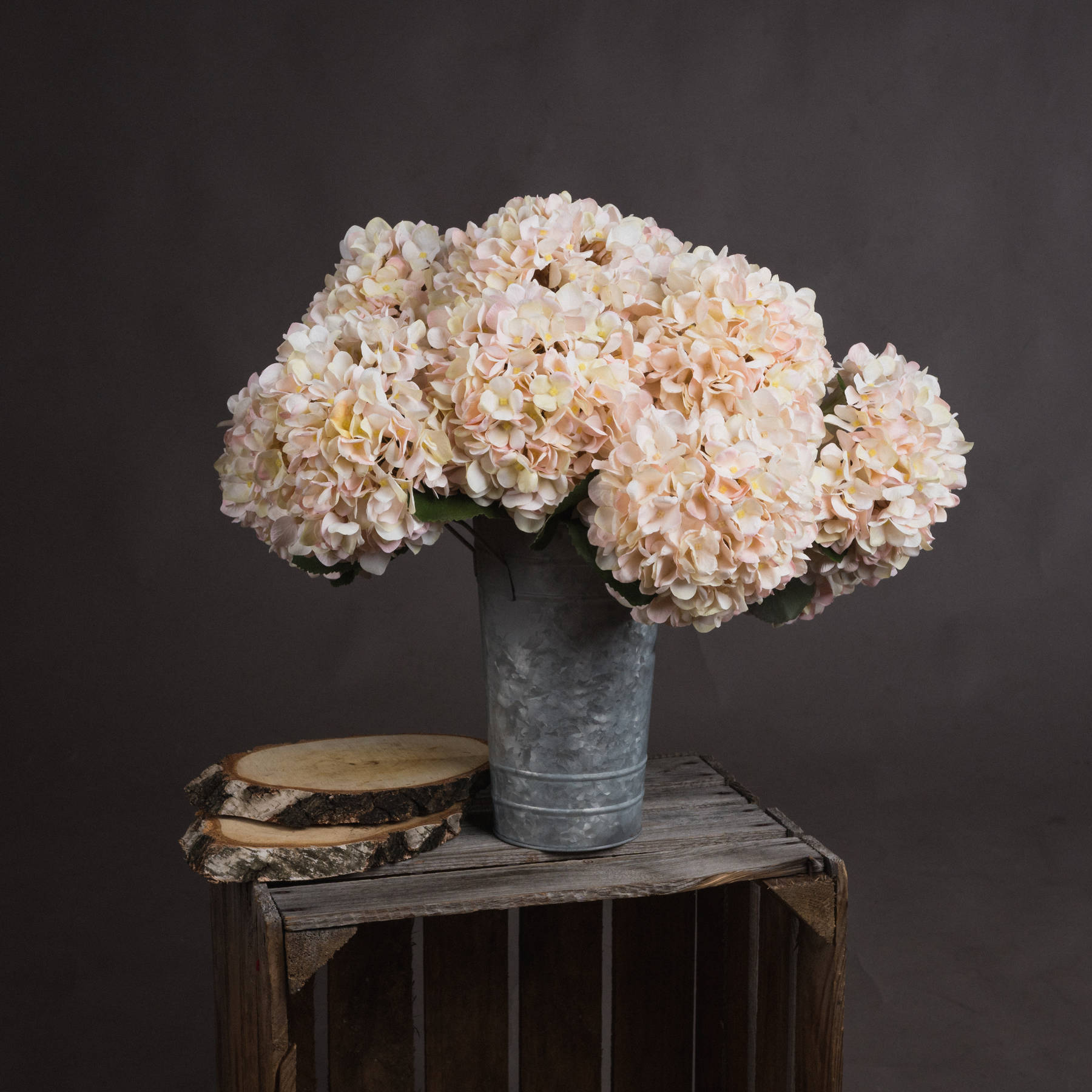 Autumn White Hydrangea - Image 1