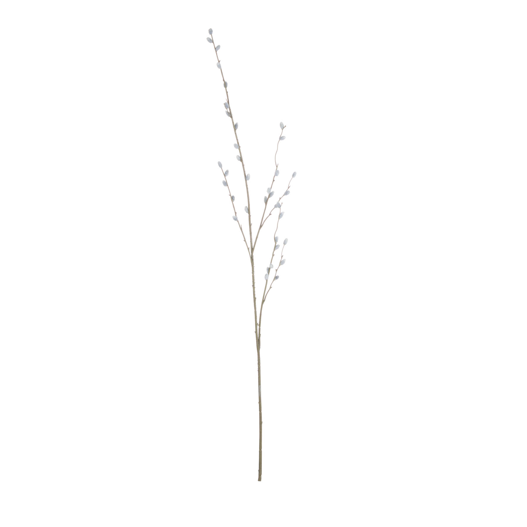 Pussy Willow Branch - Image 6