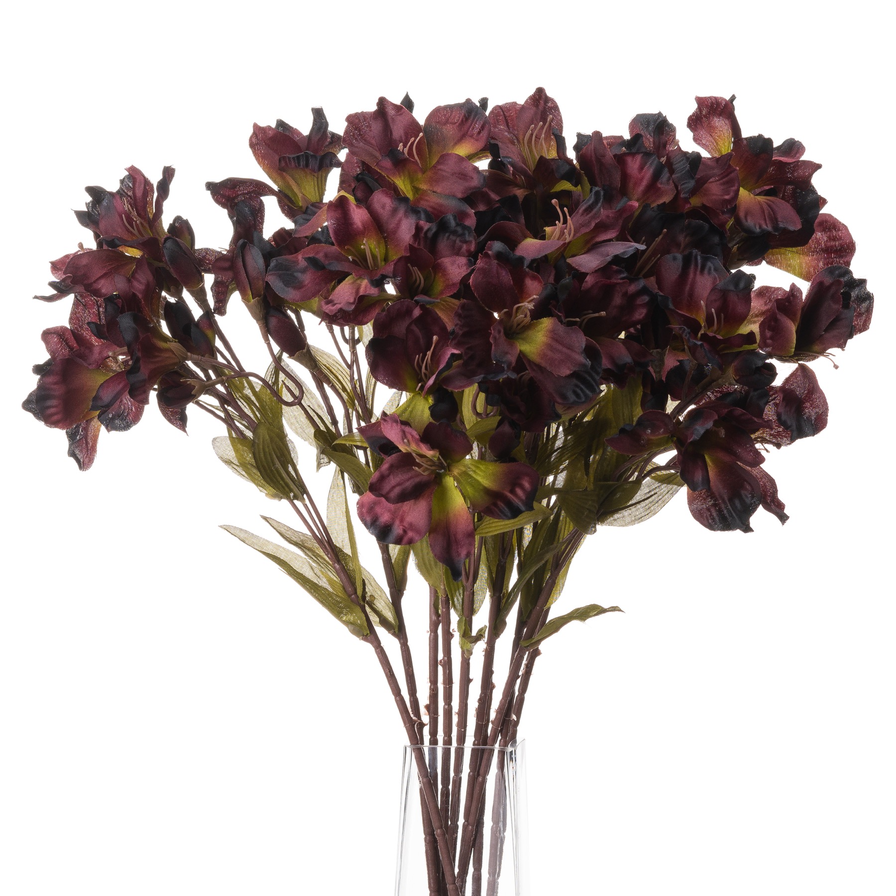 Chocolate Alstroemeria Lily Spray - Image 4