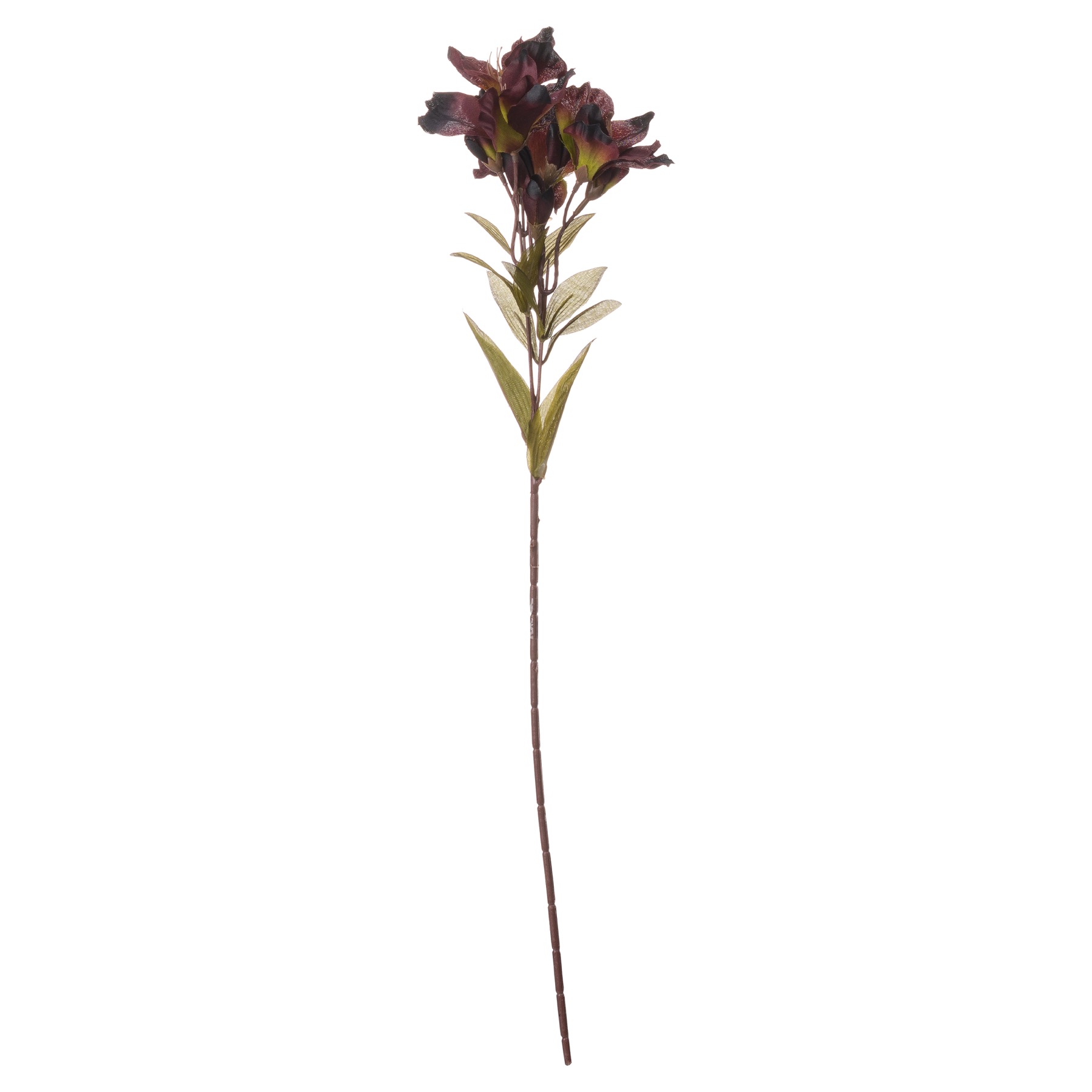 Chocolate Alstroemeria Lily Spray - Image 6