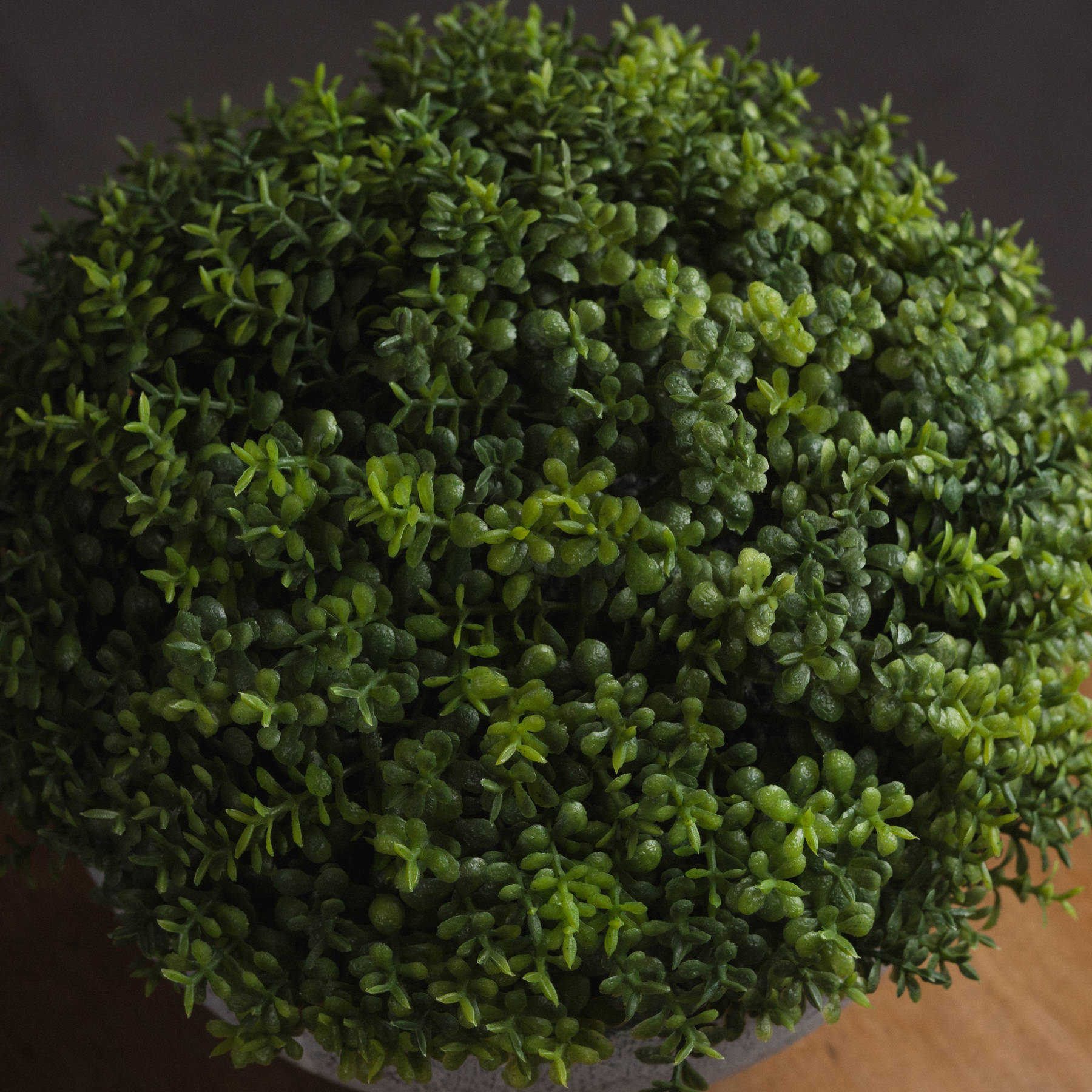 Small Hebe Globe Pot - Image 3