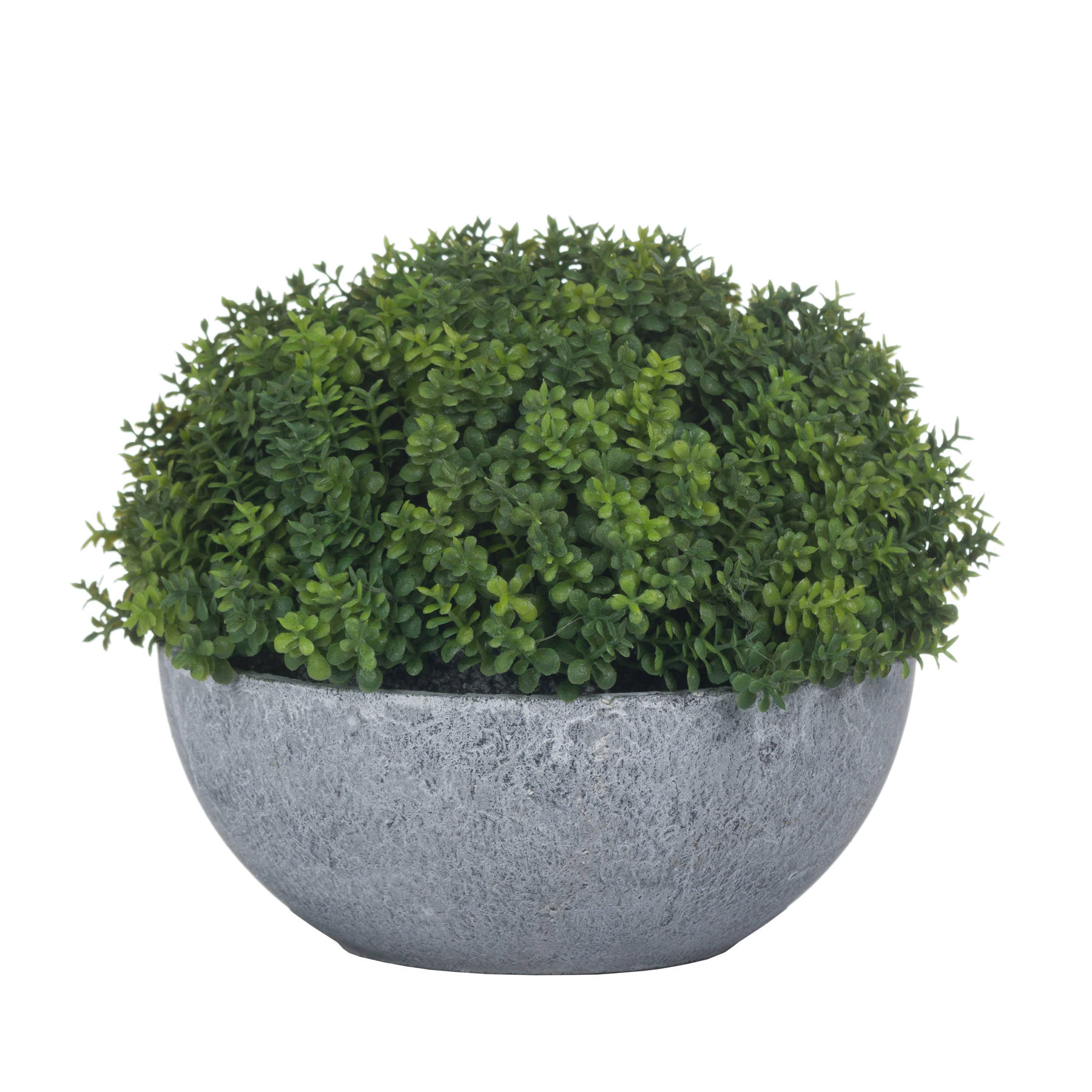 Small Hebe Globe Pot - Image 4