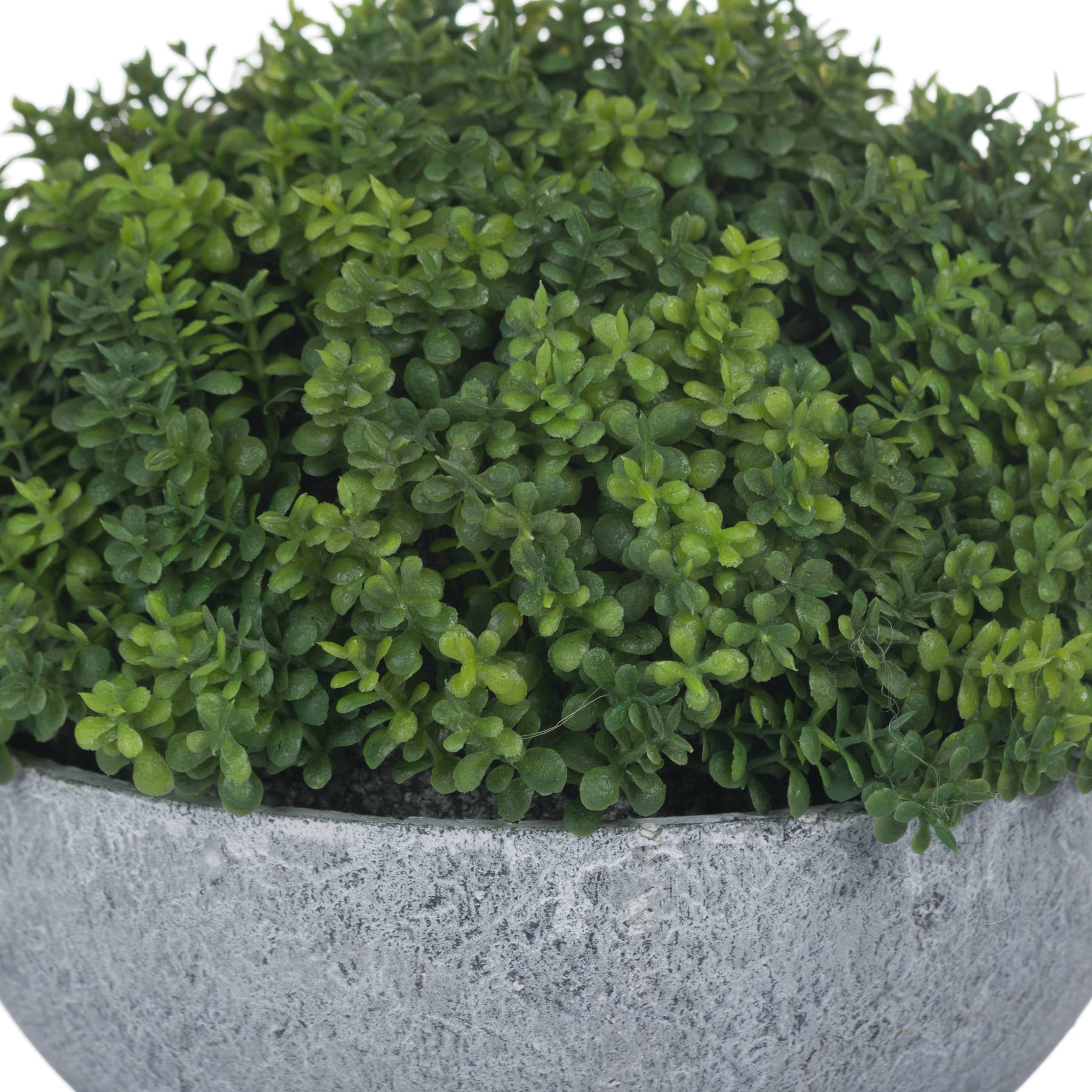 Small Hebe Globe Pot - Image 5
