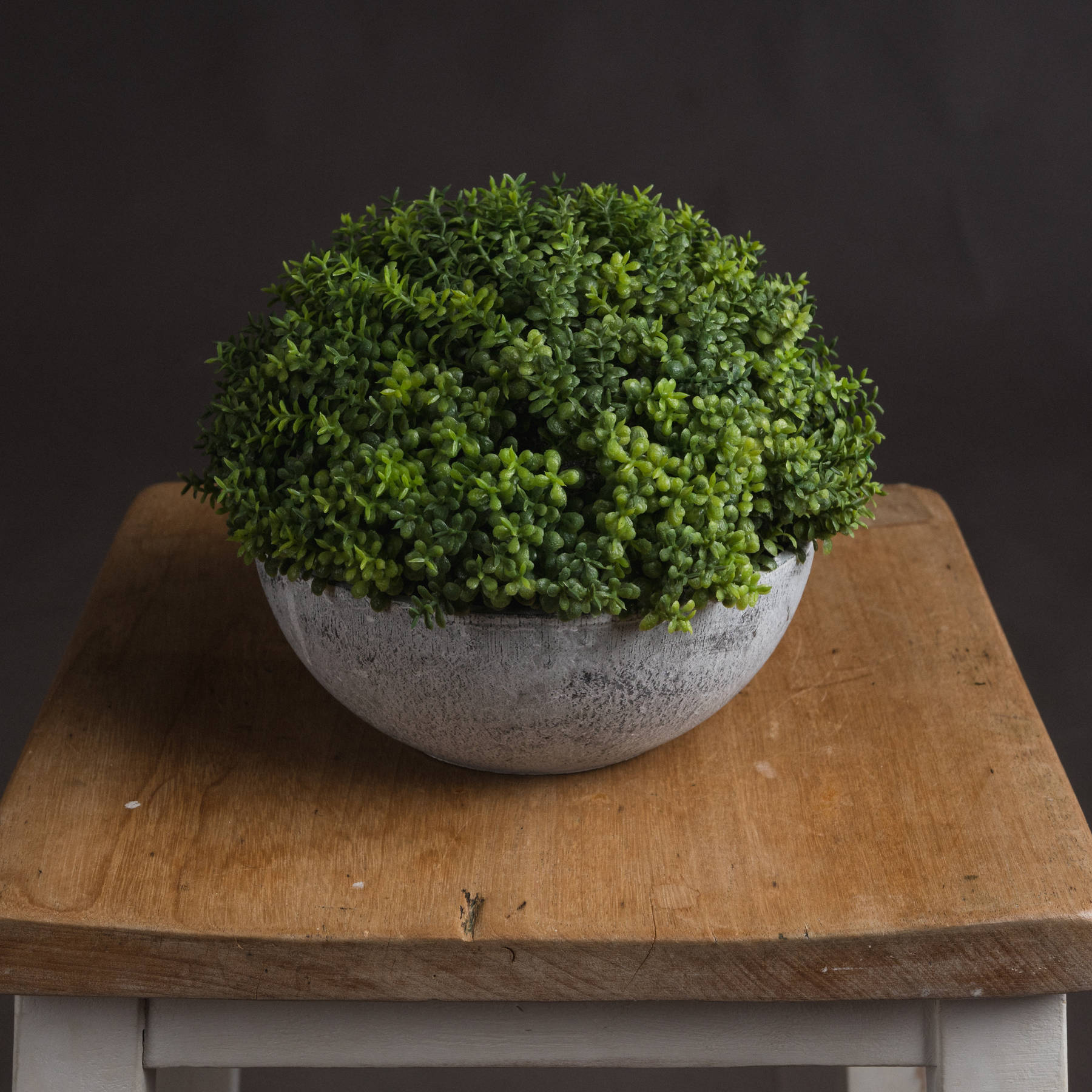 Small Hebe Globe Pot - Image 1