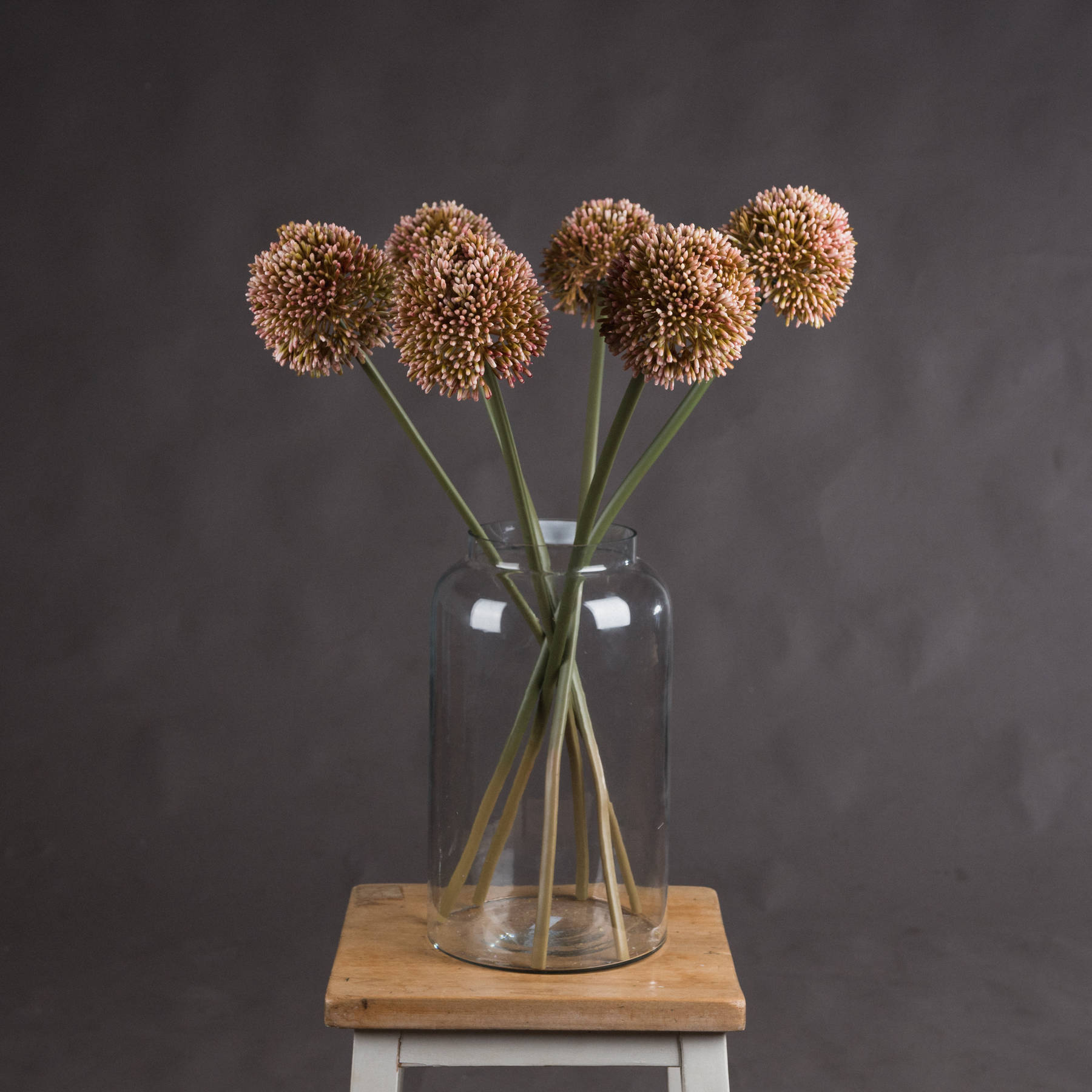 Pink Allium - Image 1