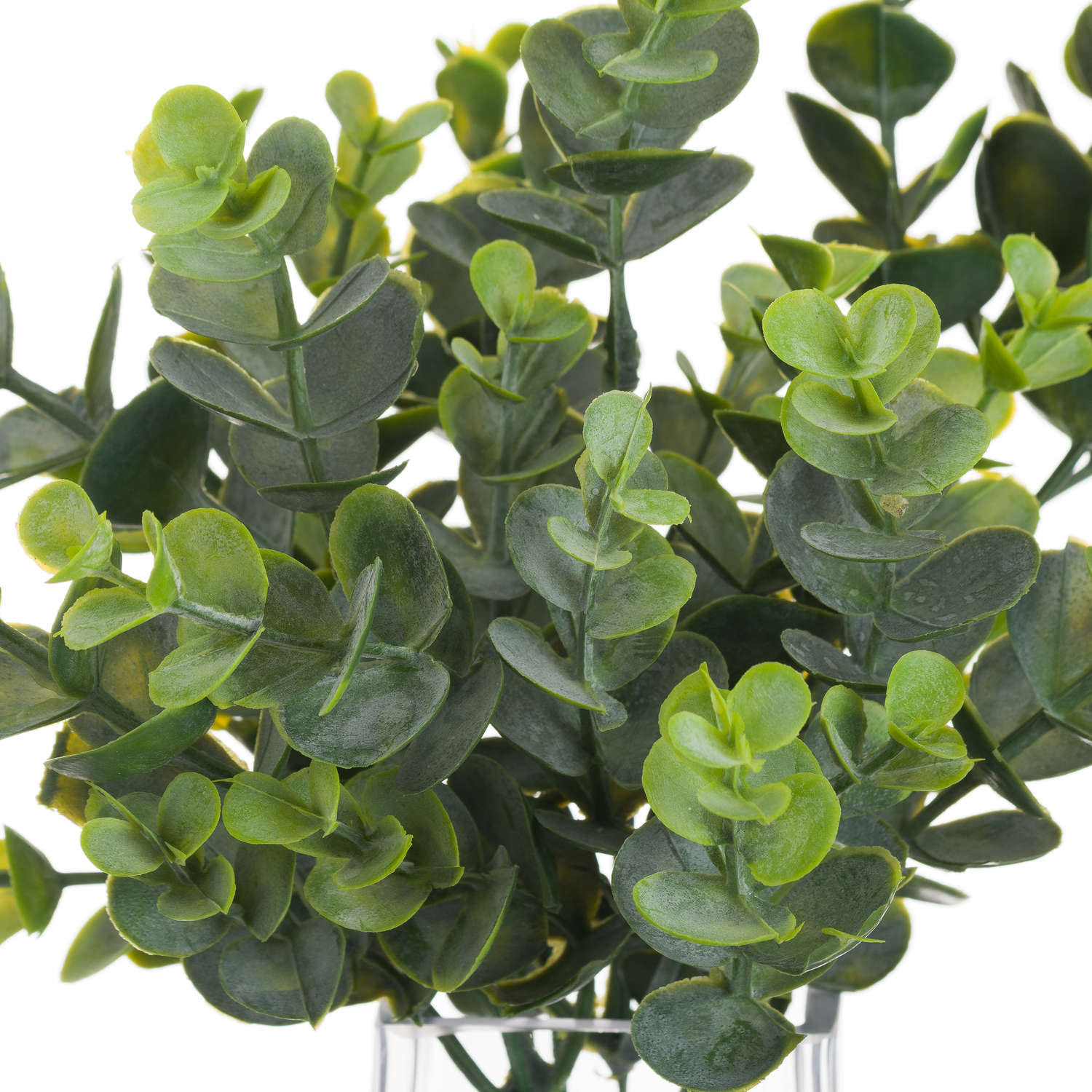 Leaf Spray - Image 4