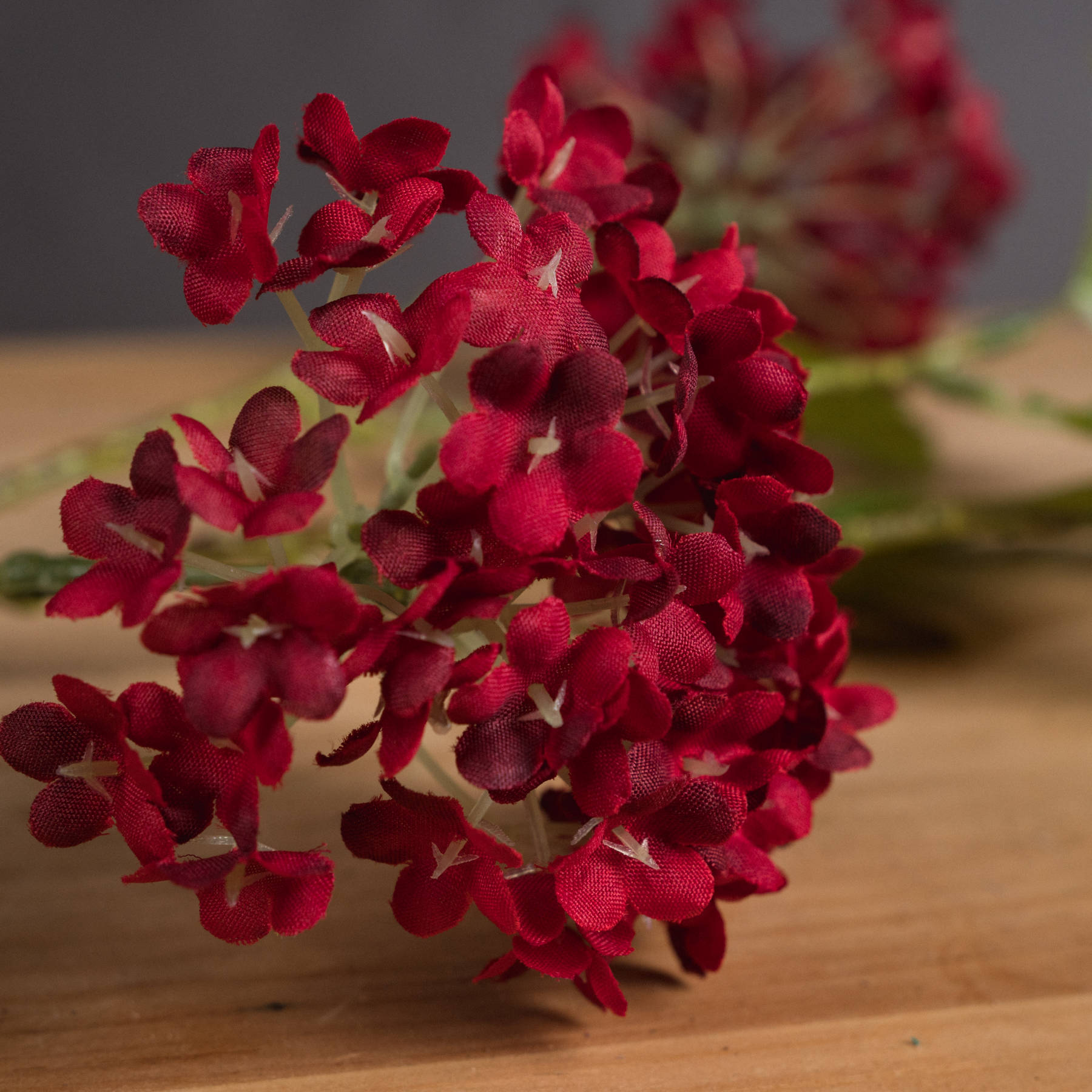 Red Autumnal Viburnum - Image 3