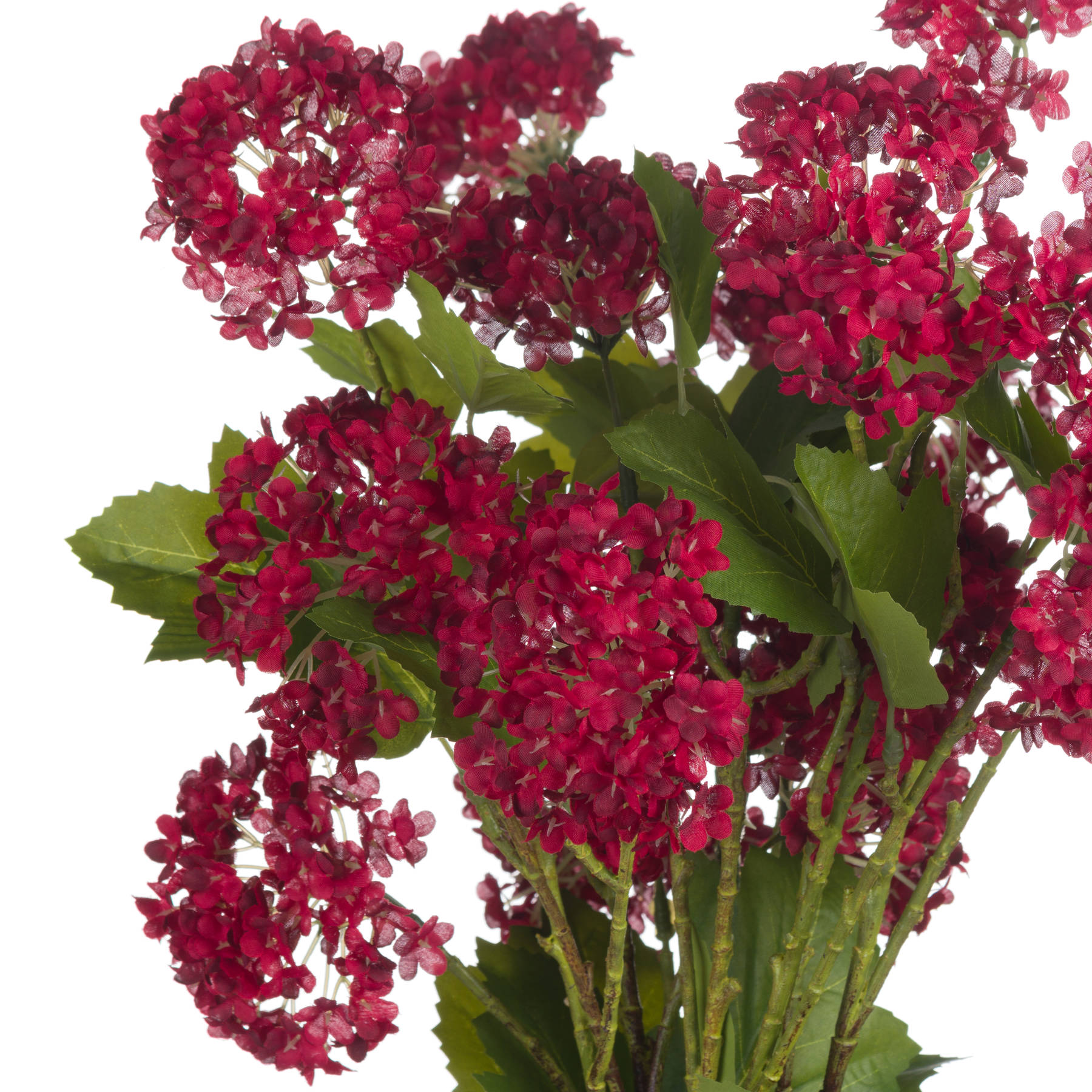 Red Autumnal Viburnum - Image 5
