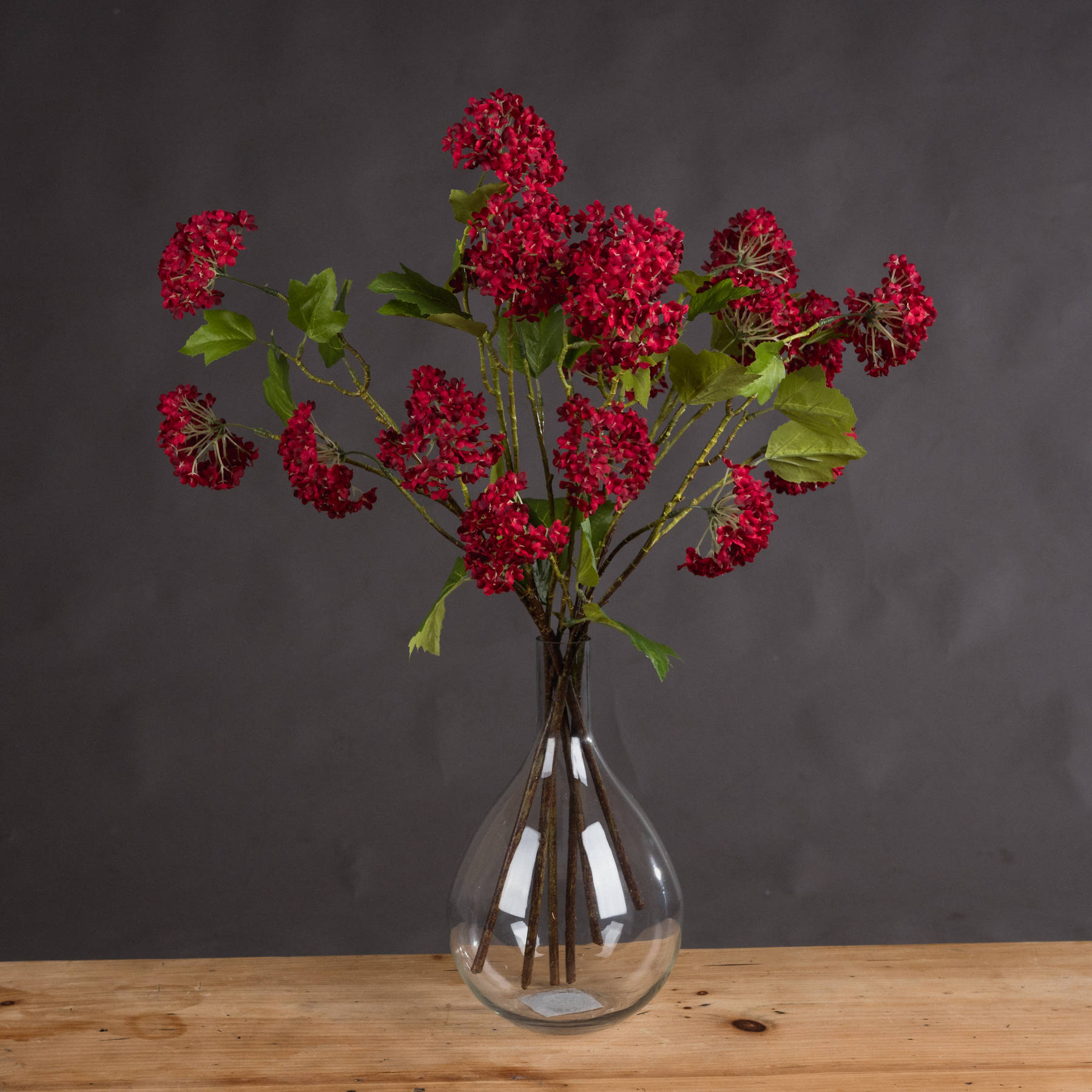 Red Autumnal Viburnum - Image 1