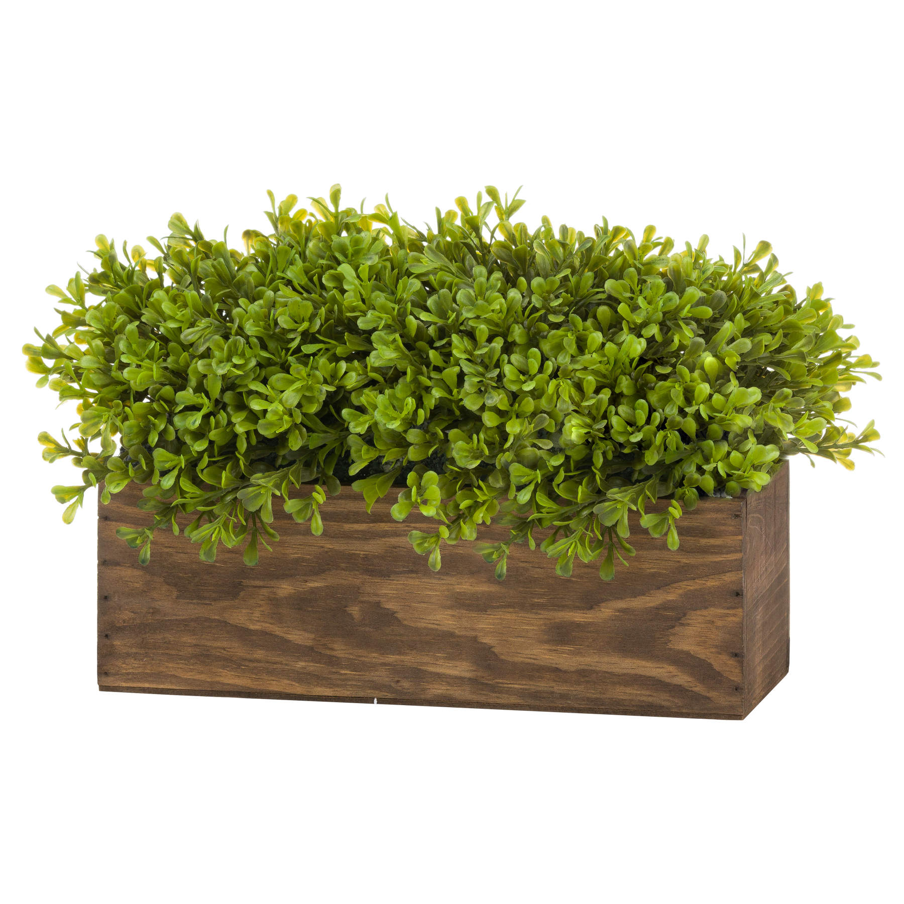 Topiary Box - Image 2