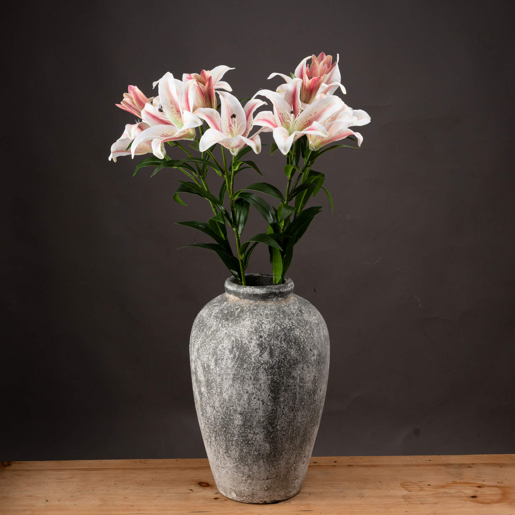 Stargazer Lily - Image 1