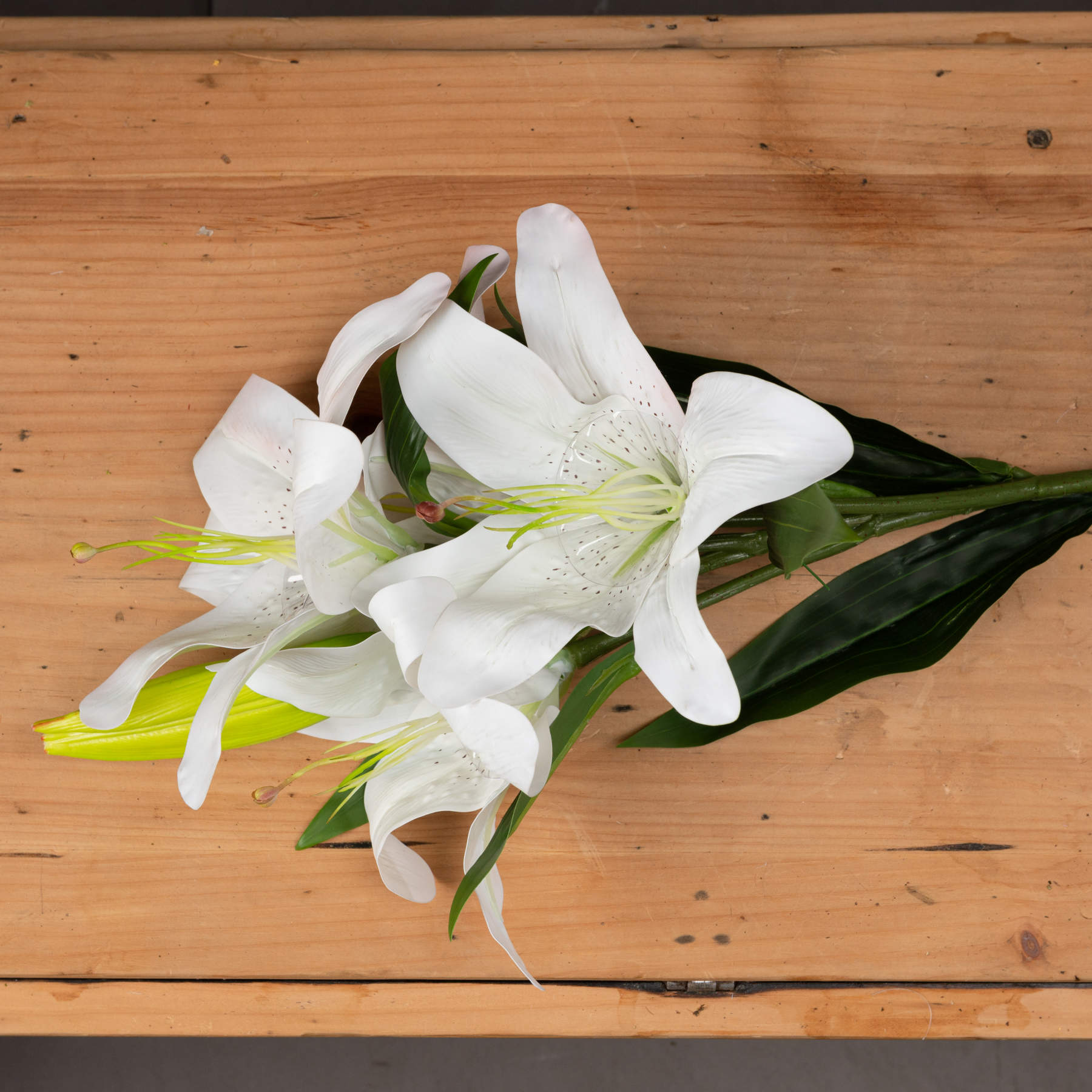 White Lily - Image 2