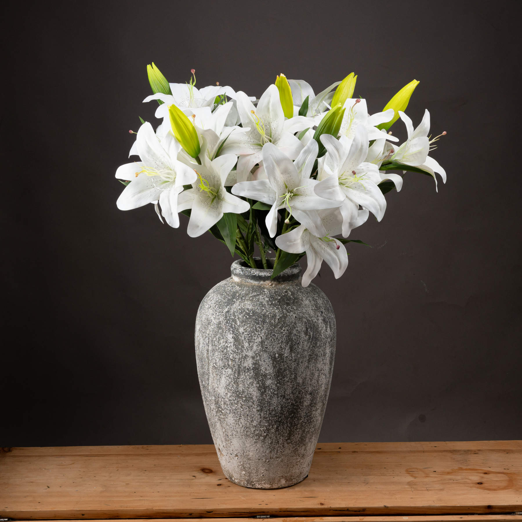 White Lily - Image 1