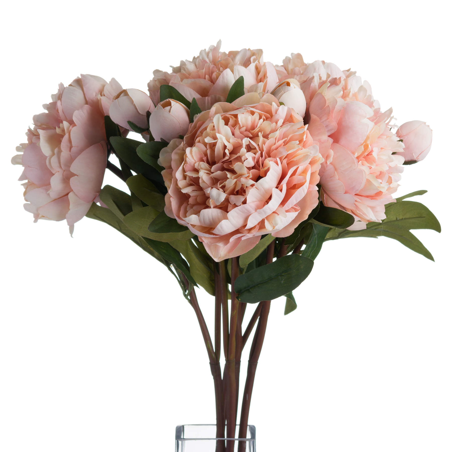 Peach Peony Rose - Image 3