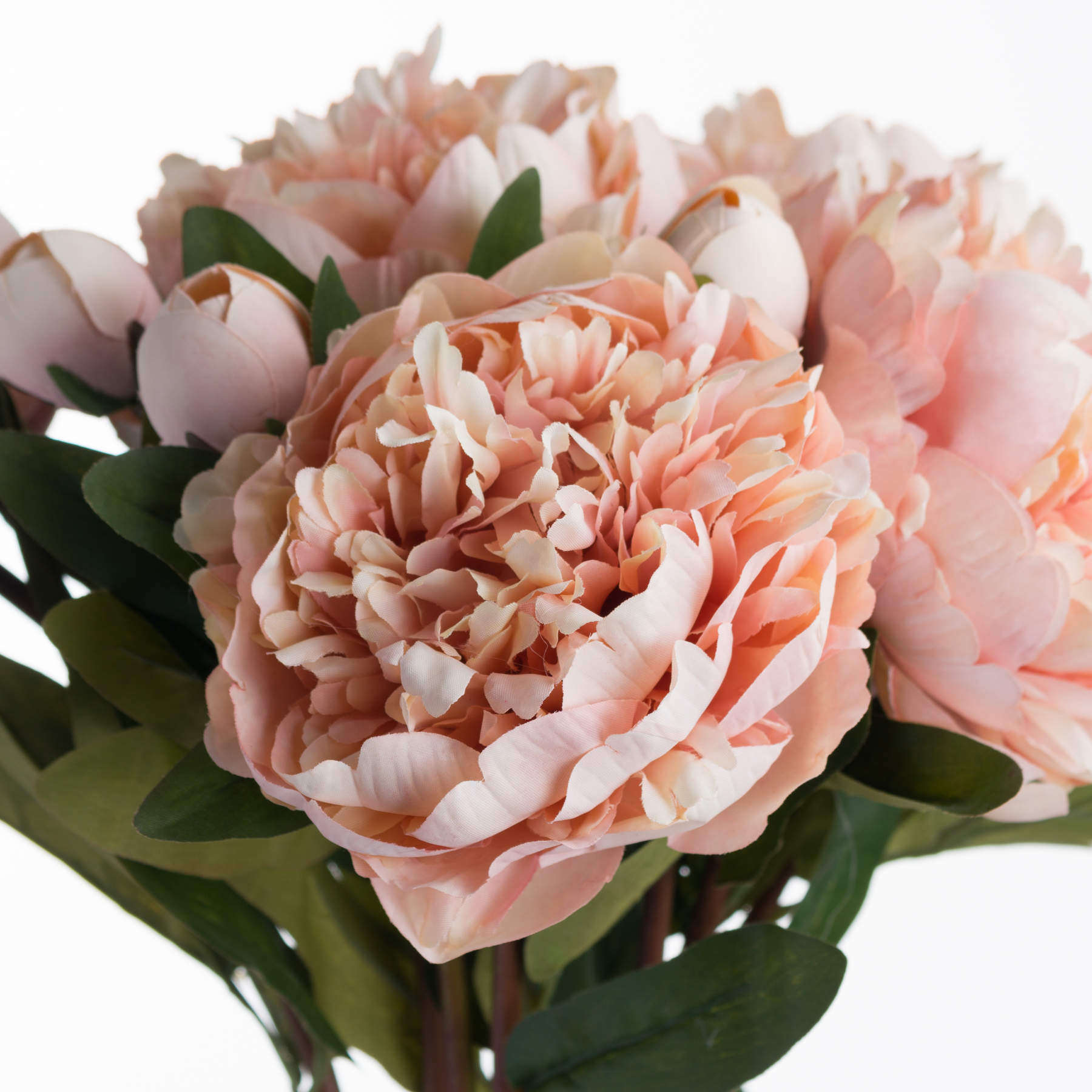 Peach Peony Rose - Image 5