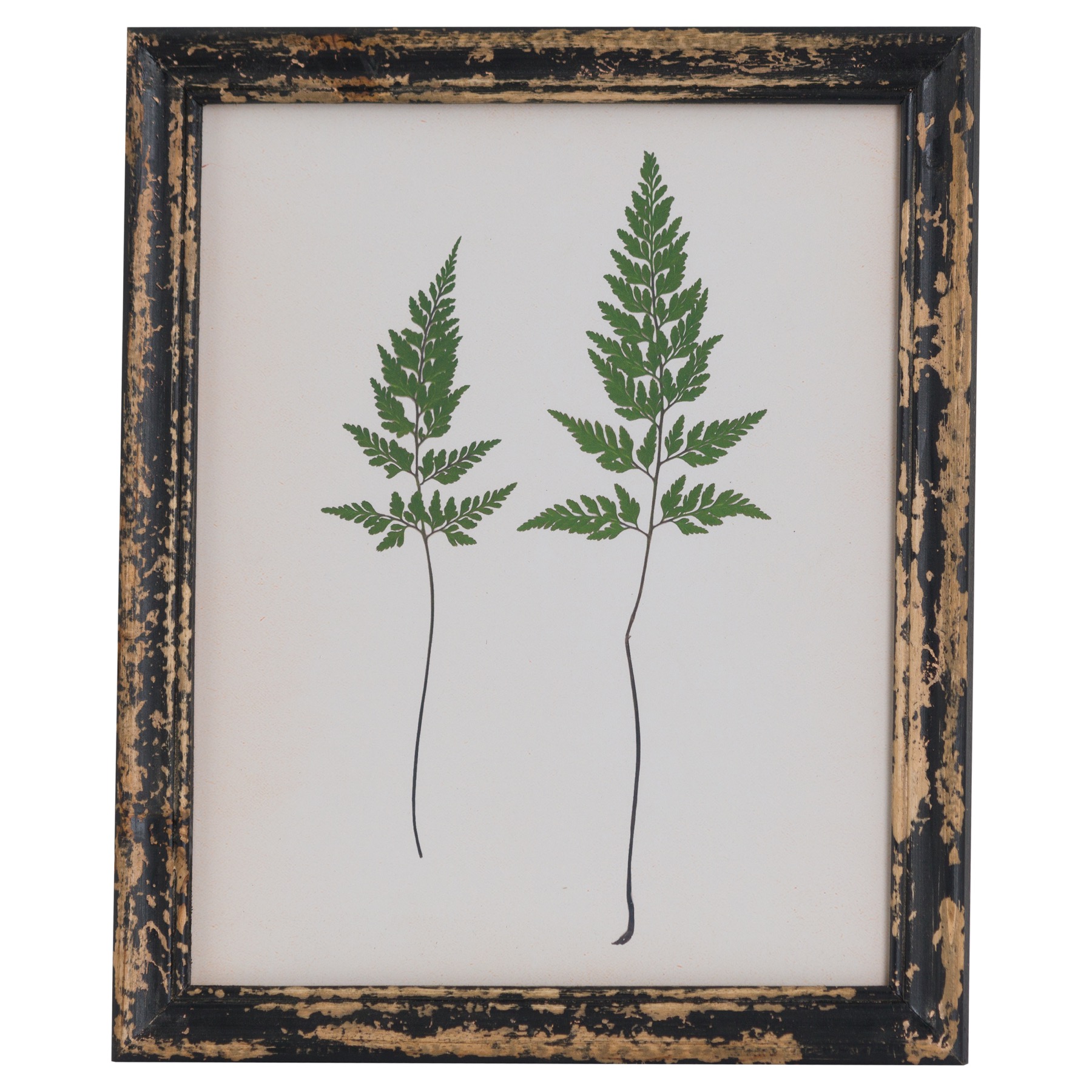 Rustic Framed Botanical Pair Of Ferns Picture - Image 1
