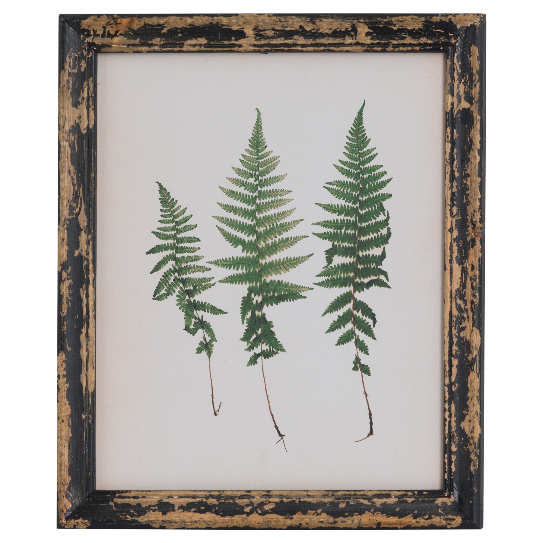 Rustic Framed Botanical Triple Fern Picture - Image 1