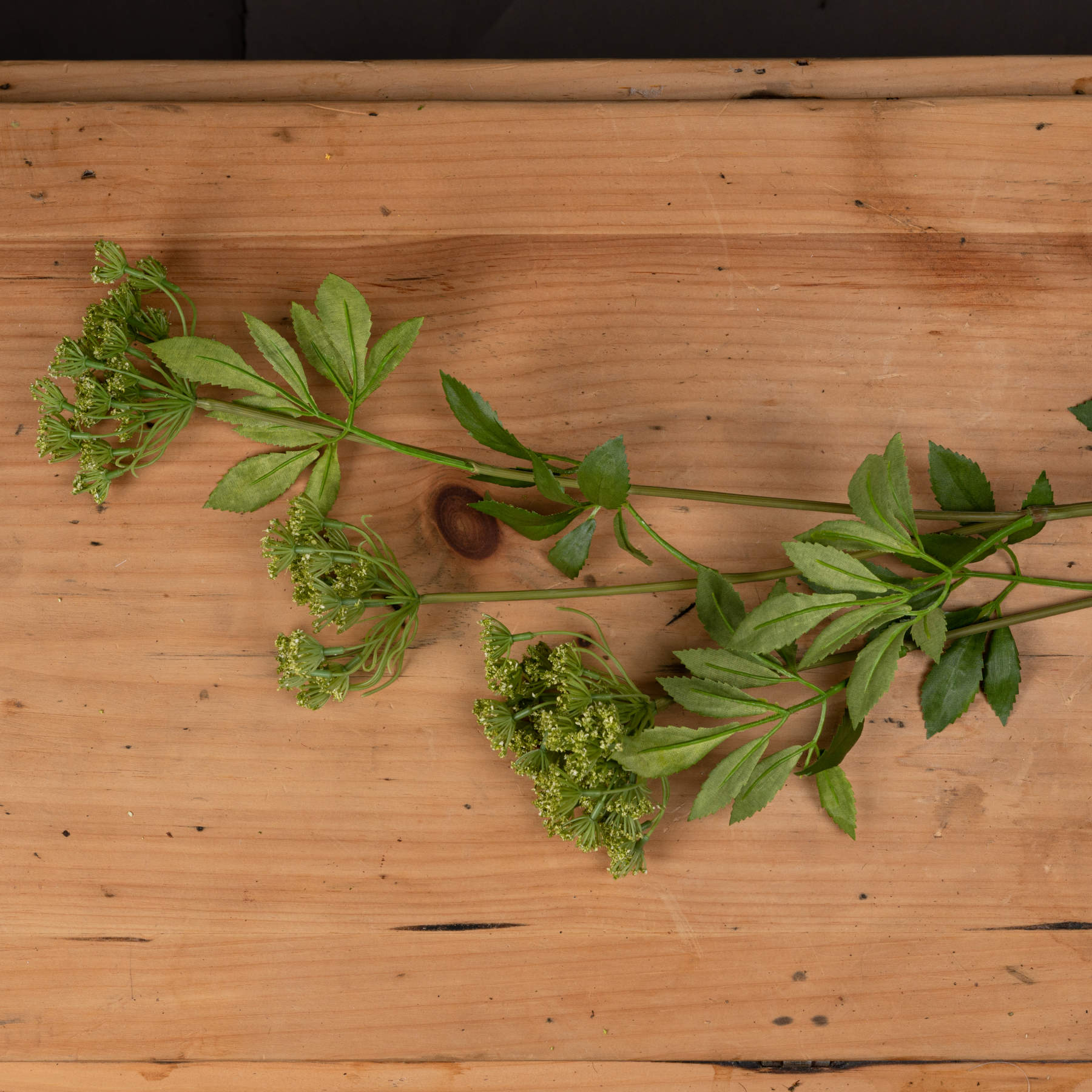 Faux Cow Parsley Ammi