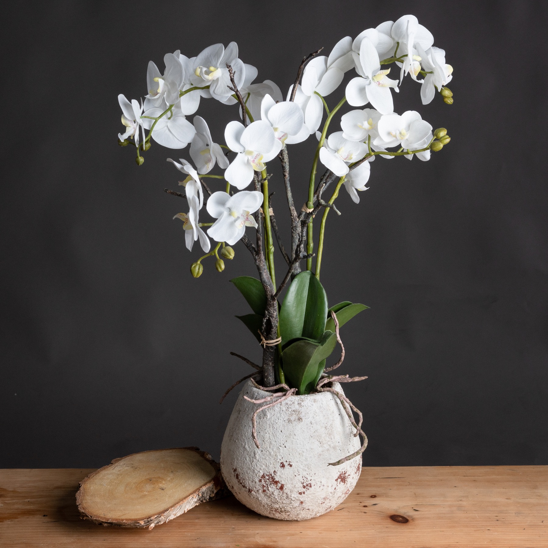 White Orchid In Stone Pot - Image 1