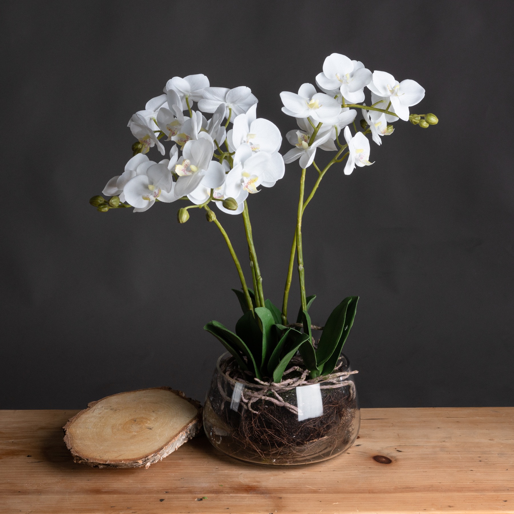 White Orchid In Glass Pot - Image 1