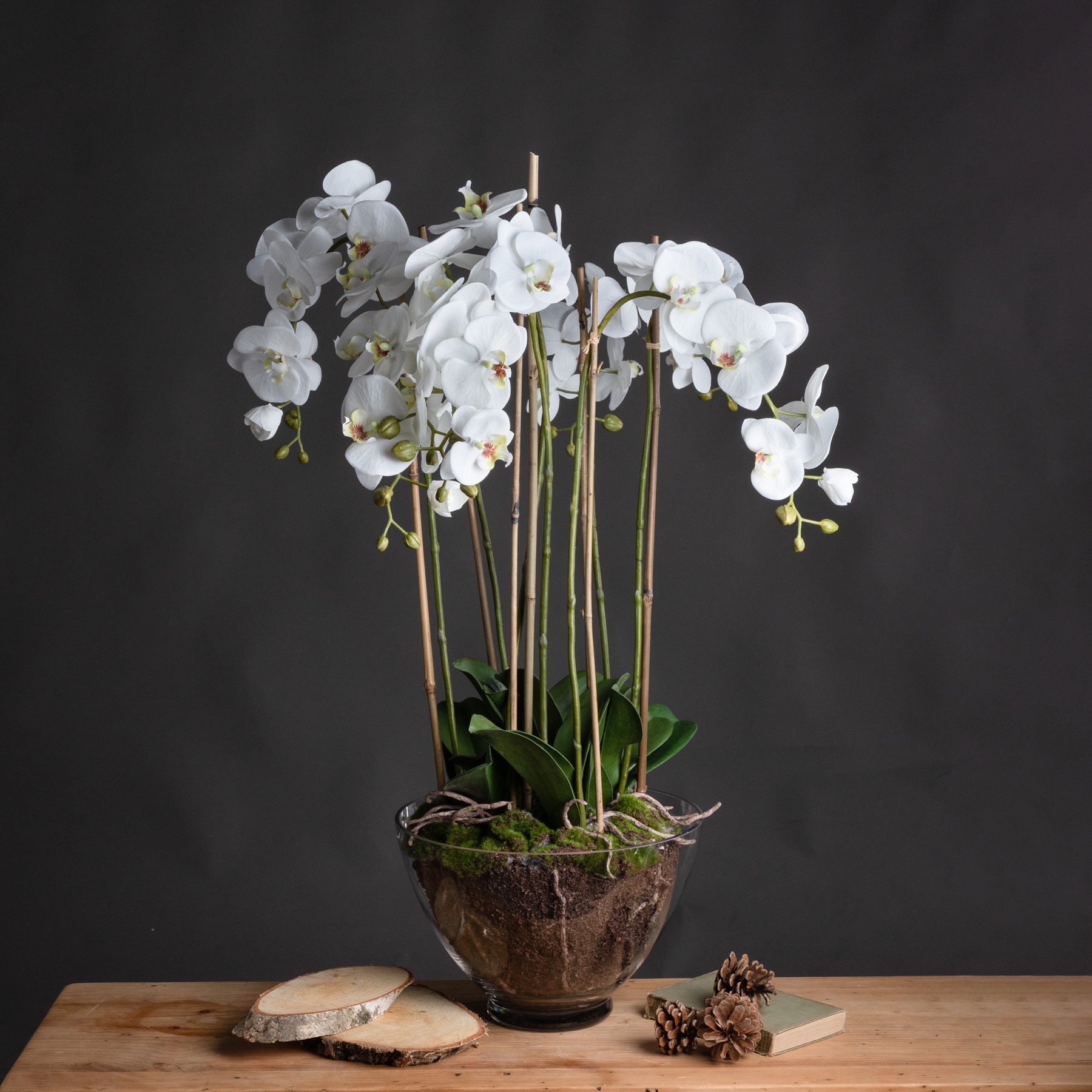 Large White Orchid In Glass Pot - Image 1