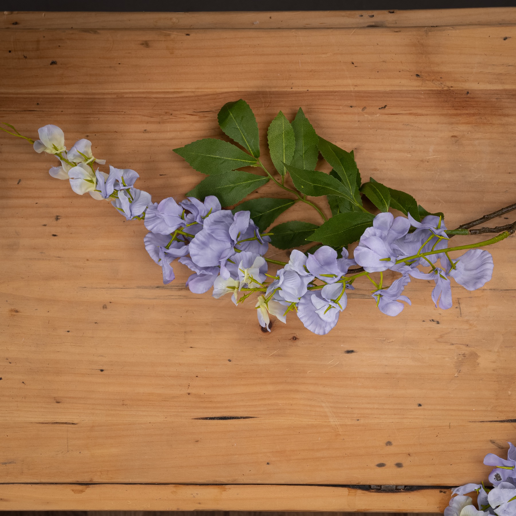 Lilac Wisteria - Image 2