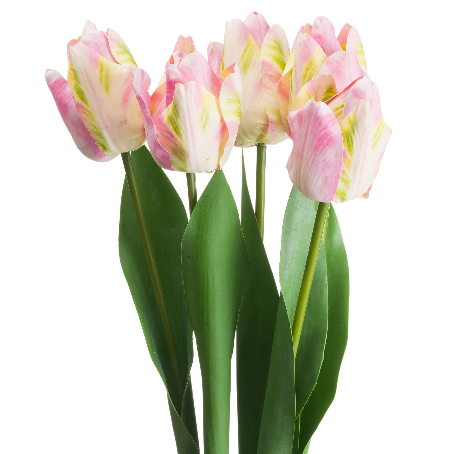 Pink & Green Tulip - Image 3