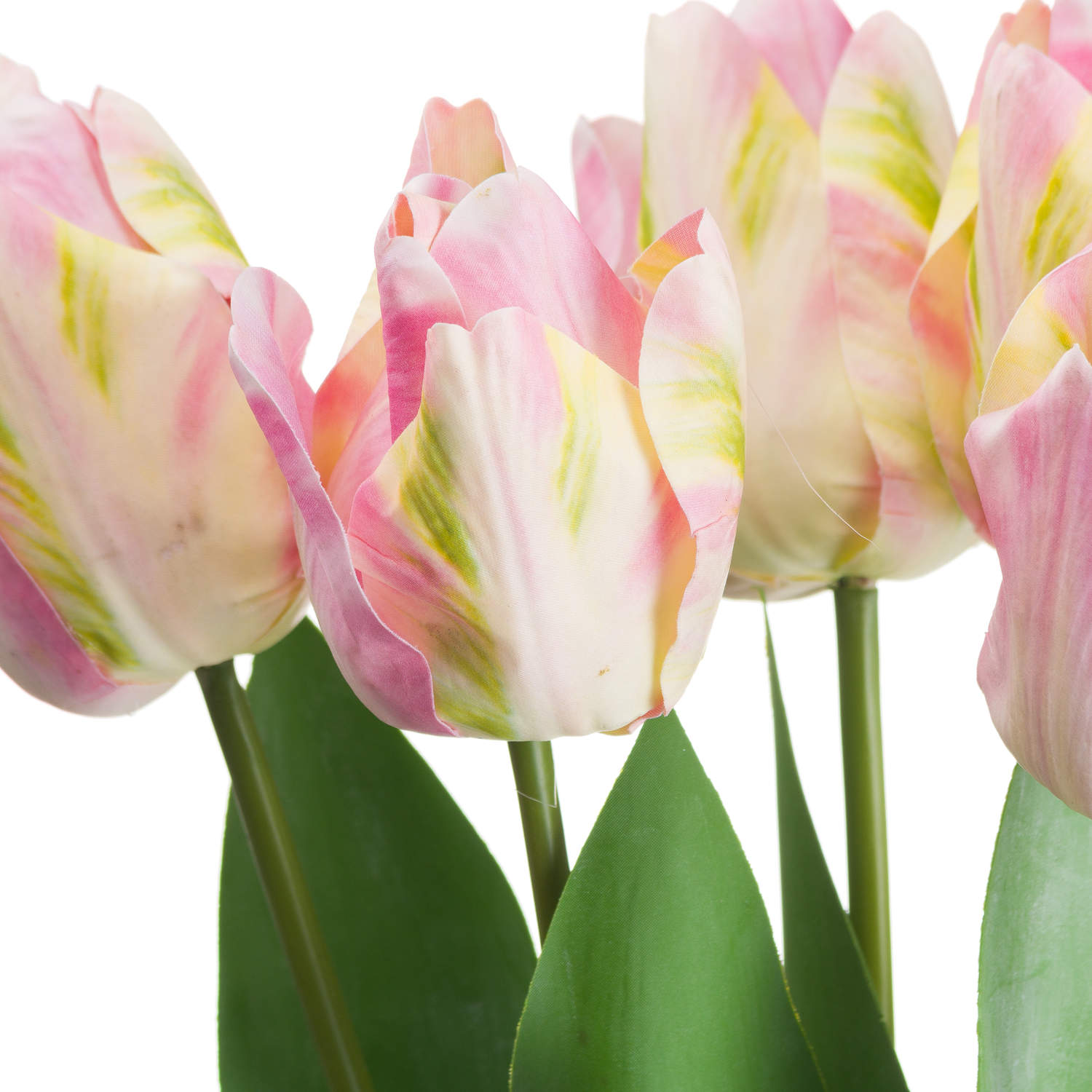 Pink & Green Tulip - Image 4