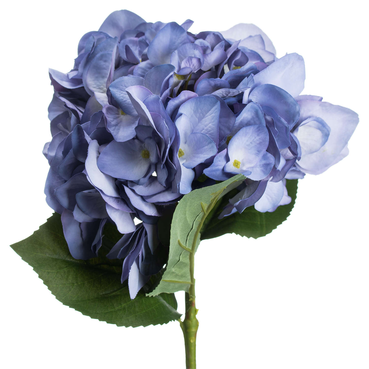 Lilac Hydrangea - Image 3