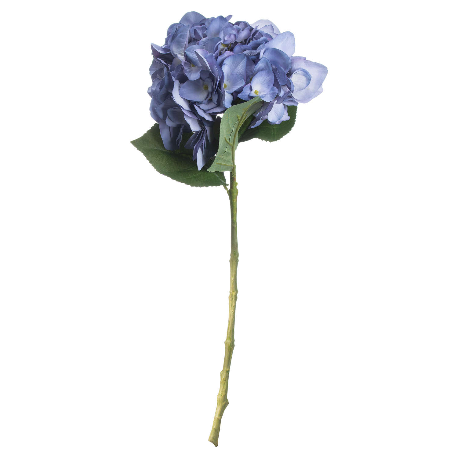 Lilac Hydrangea - Image 4