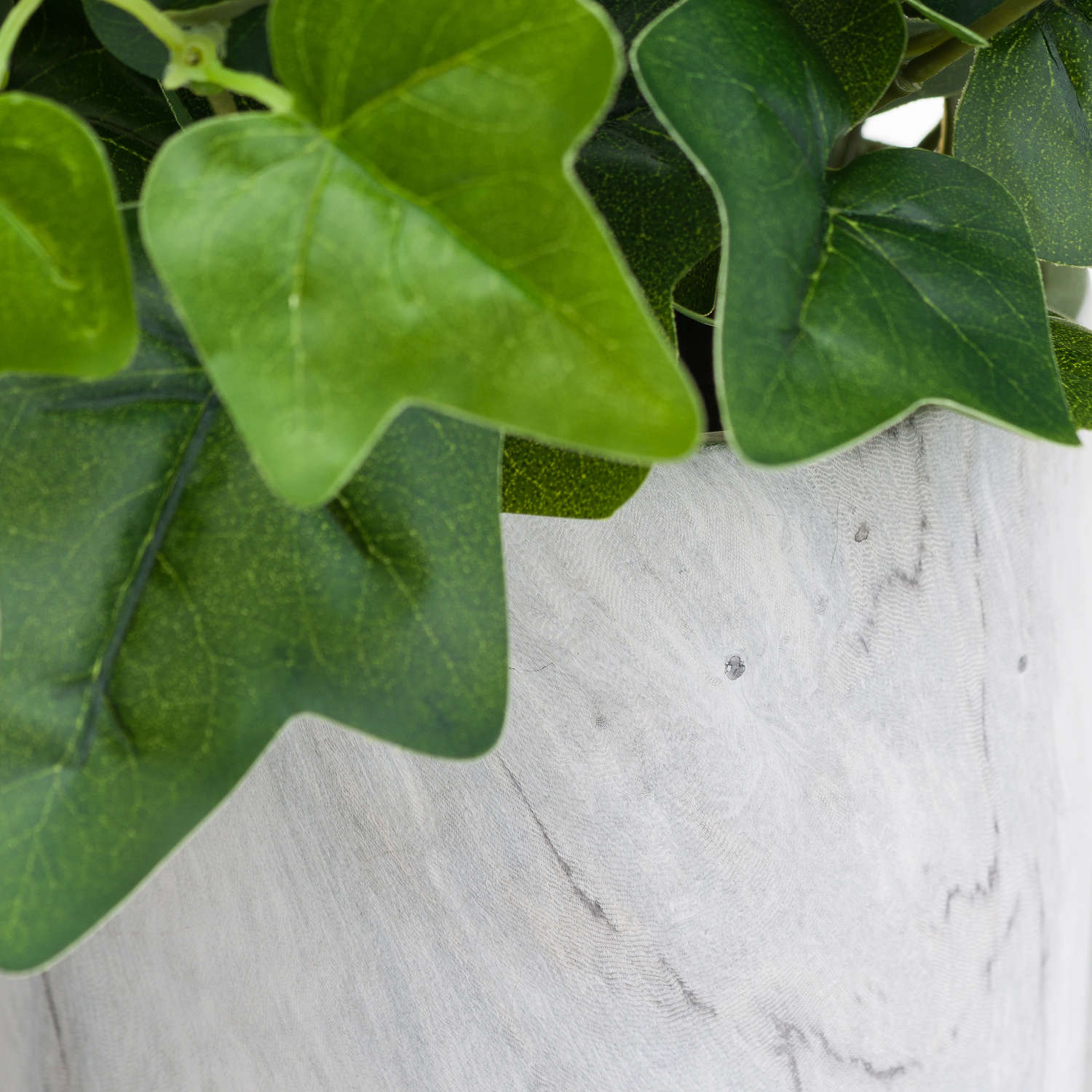 Potted Ivy House Plant - Image 3