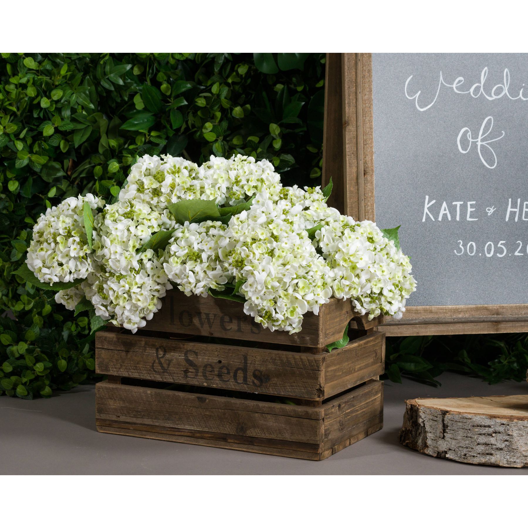 White Lace Cap Hydrangea - Image 4