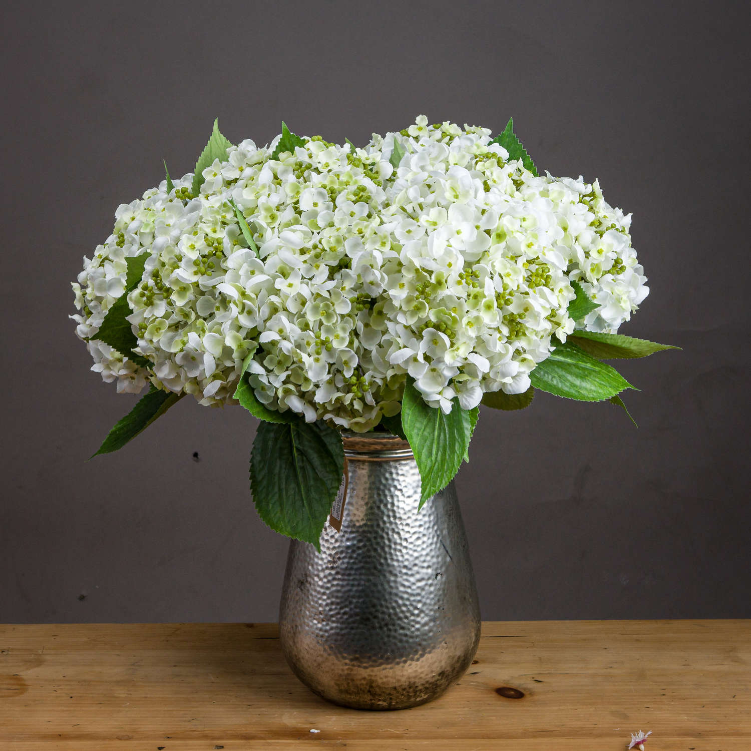 White Lace Cap Hydrangea - Image 1