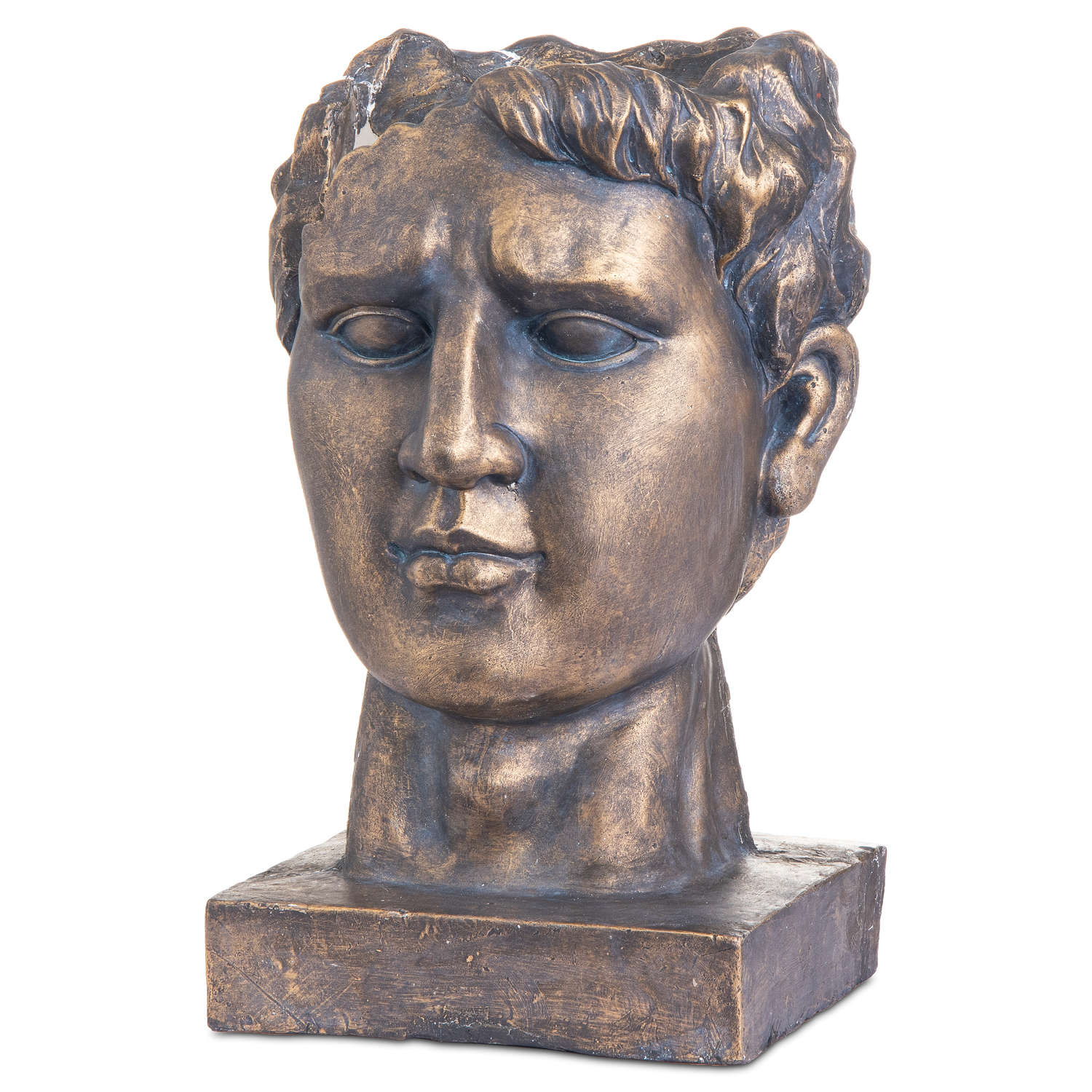 Antique Bronze Roman Head Planter Indoor Outdoor - Image 1