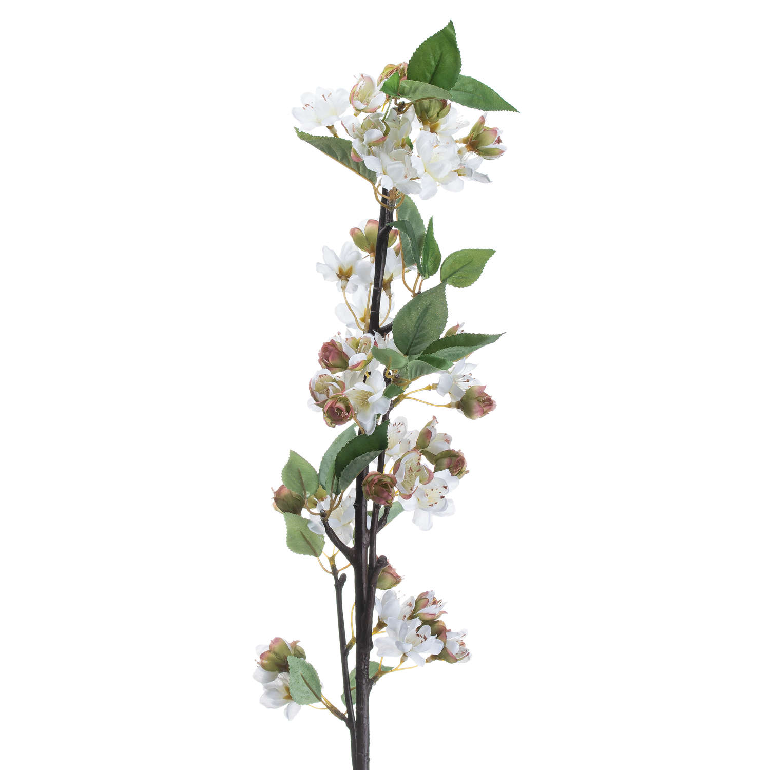 English Blossom Branch - Image 3