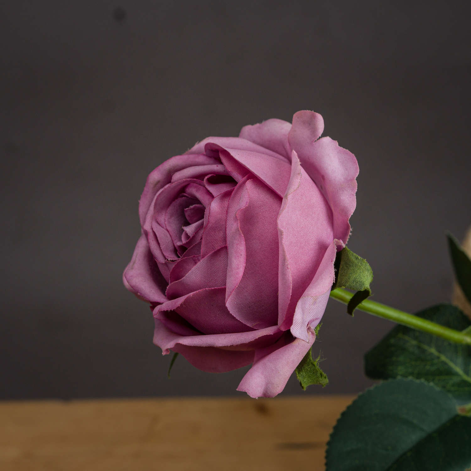 Pink Tea Rose - Image 2