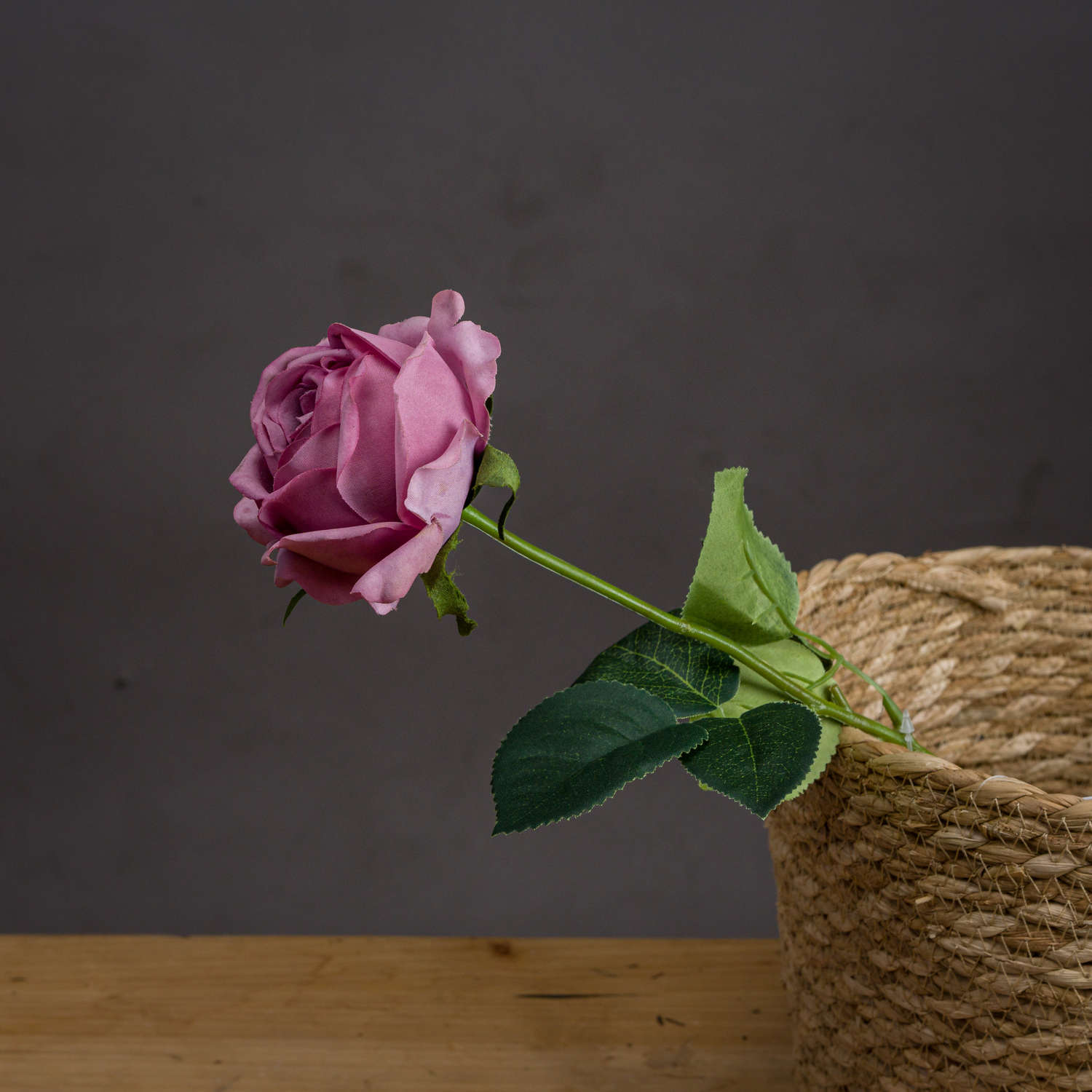 Pink Tea Rose - Image 1