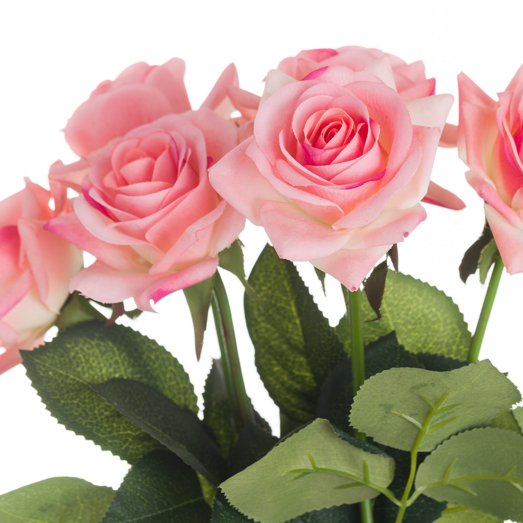 Pink Garden Rose - Image 2