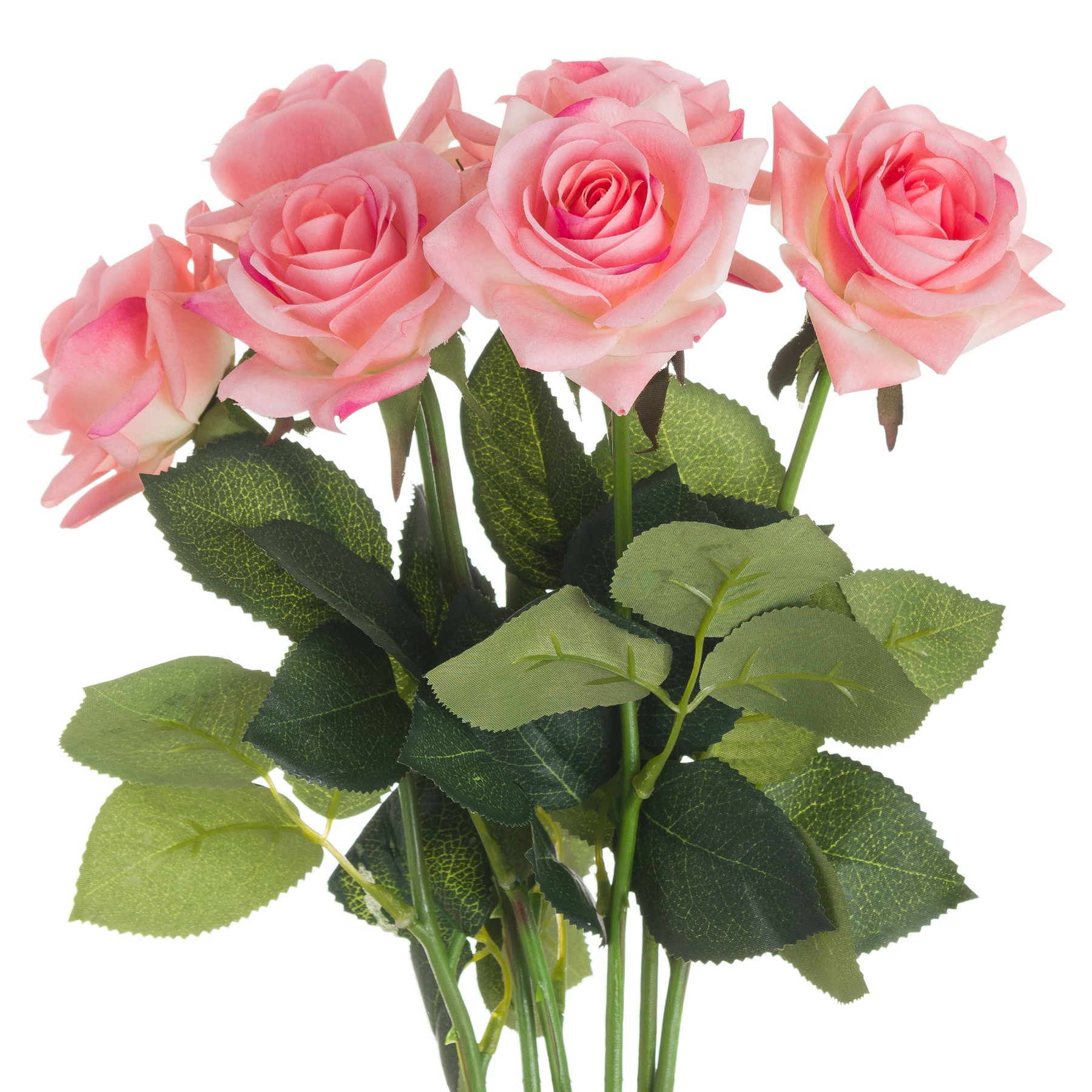 Pink Garden Rose - Image 1