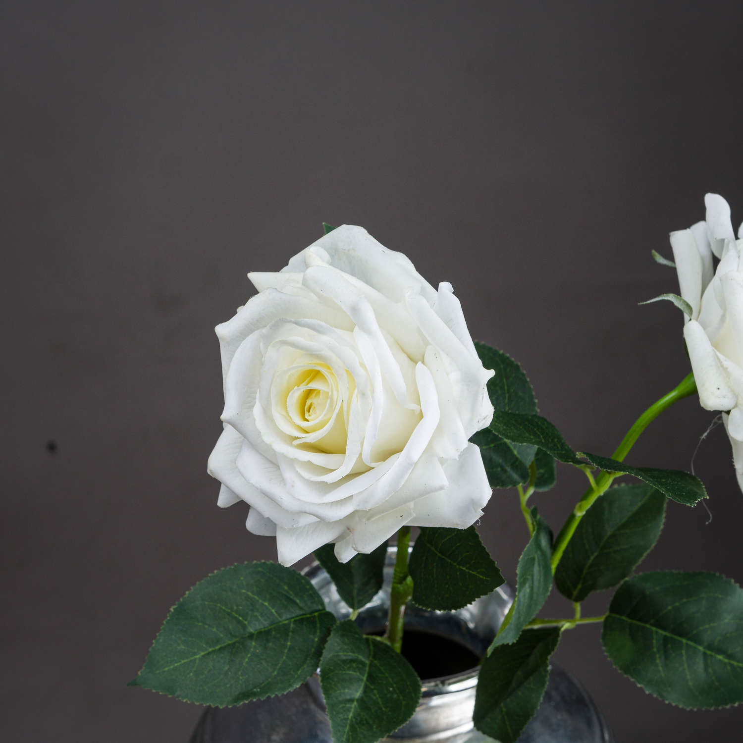 Large White Garden Rose - Image 2