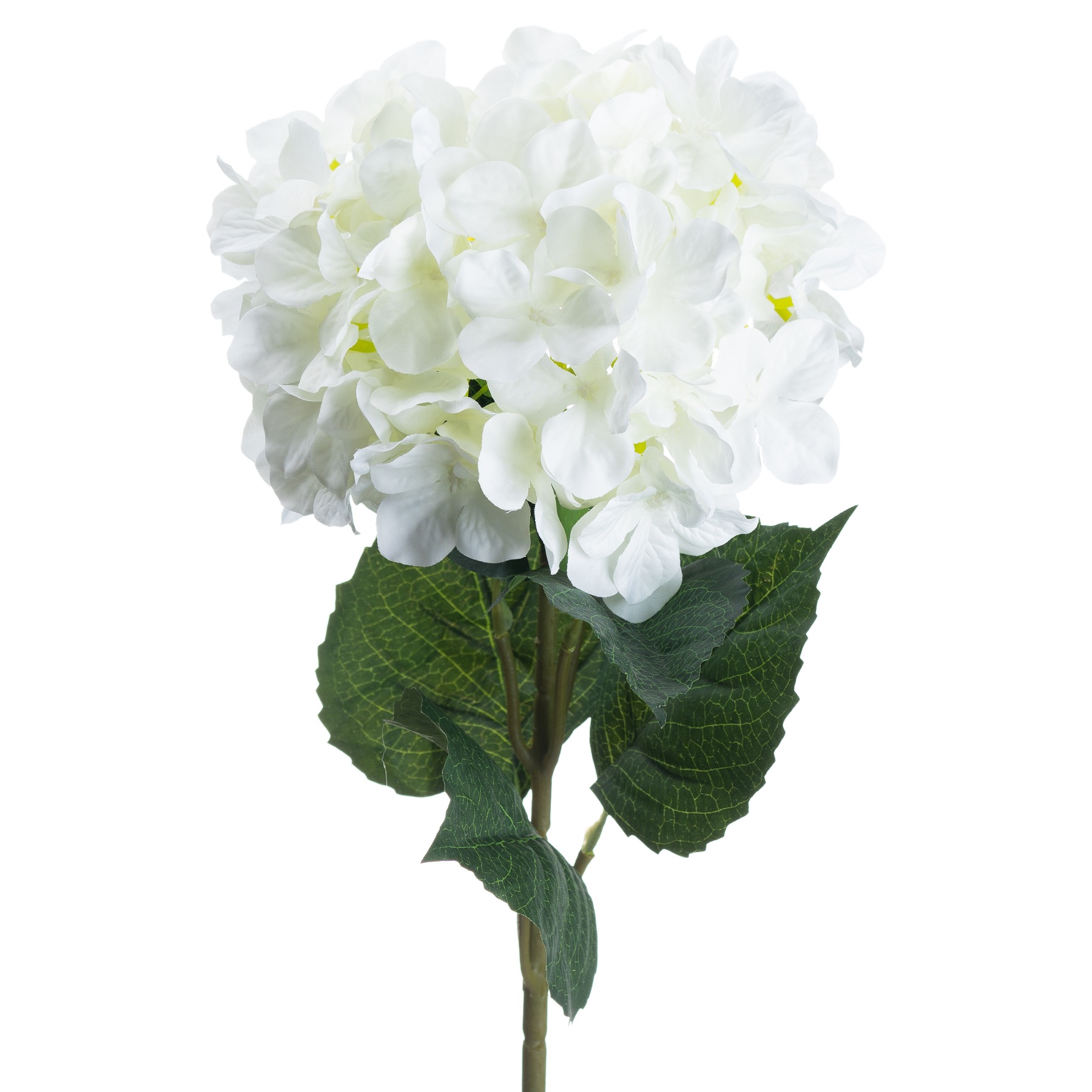 Single White Hydrangea - Image 2