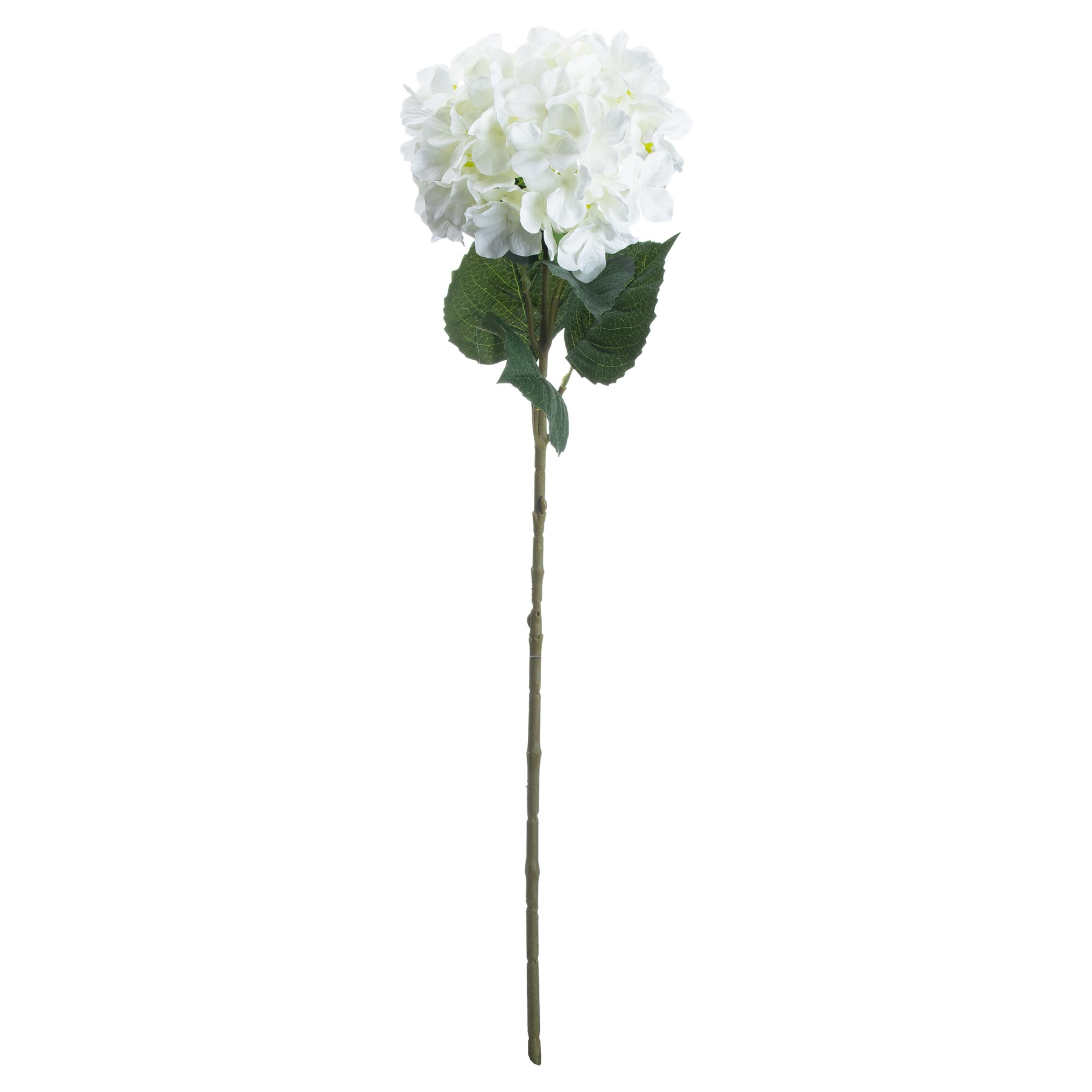 Single White Hydrangea - Image 1