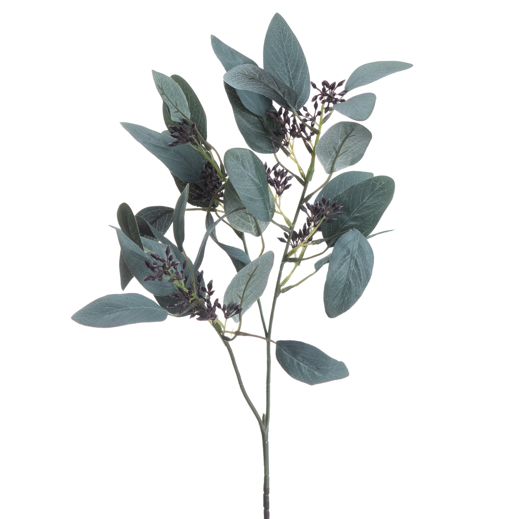 Seeded Eucalyptus Stem - Image 2