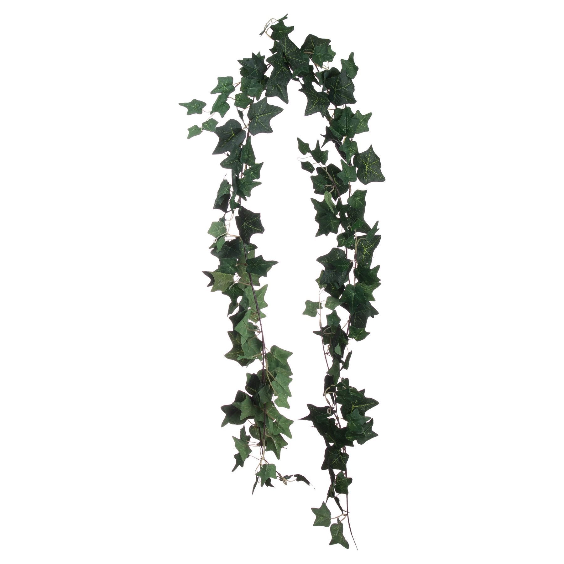 Ivy Garland - Image 1