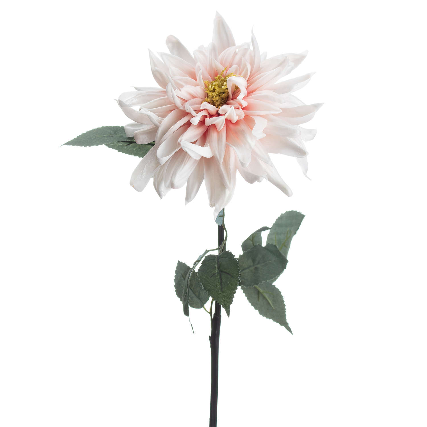 Lush Pink Dahlia - Image 3