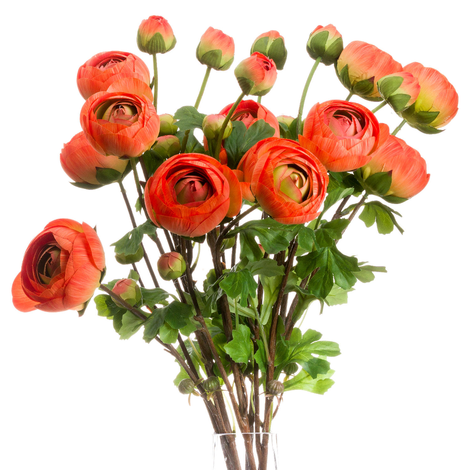 Orange Ranunculus Wholesale by Hill Interiors