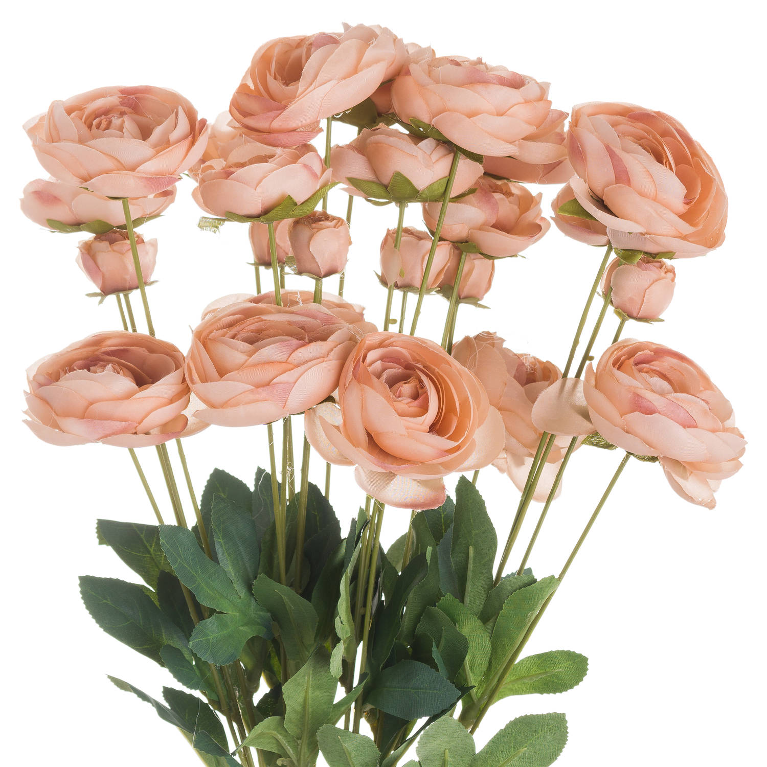 Toffee Ranunculus Wholesale by Hill Interiors