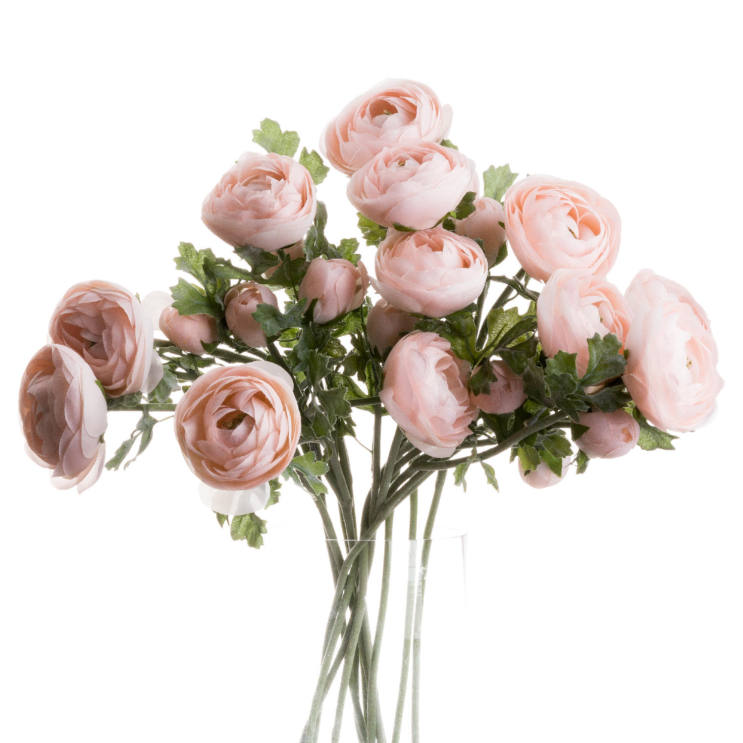 Pastel Pink Ranunculus - Image 1