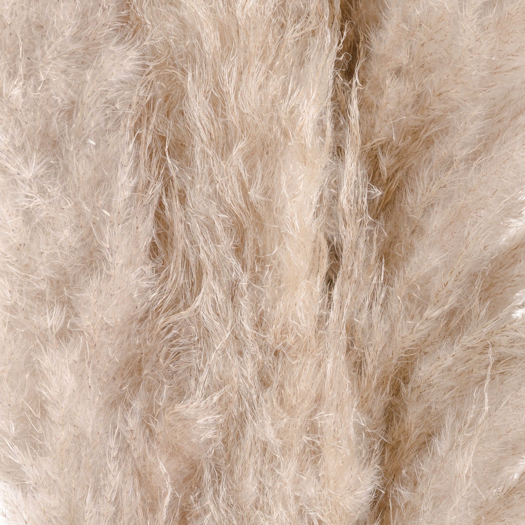 Cream Pampas grass - Image 3