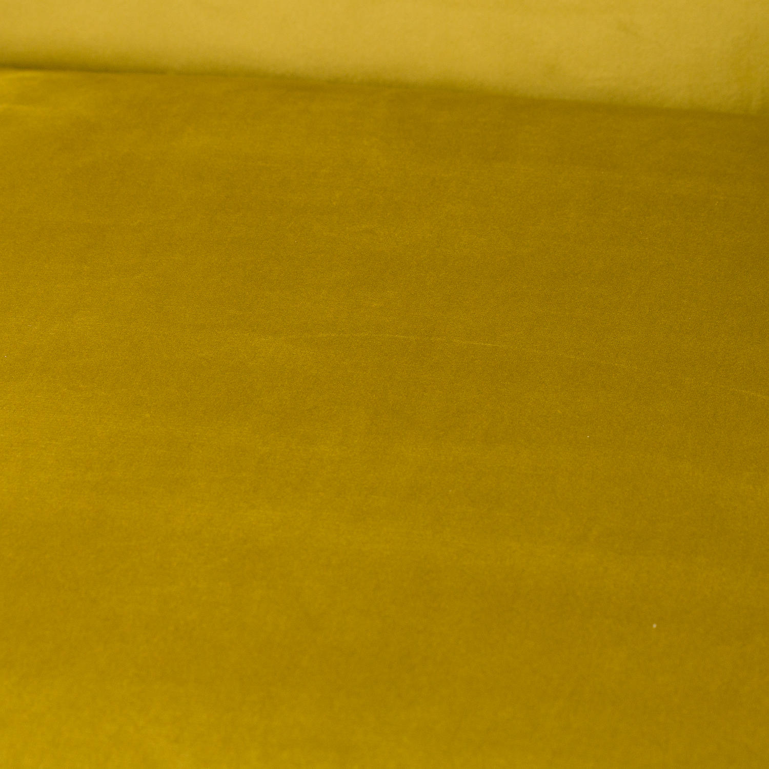 Eva Framed Mustard Velvet Club Chair - Image 2